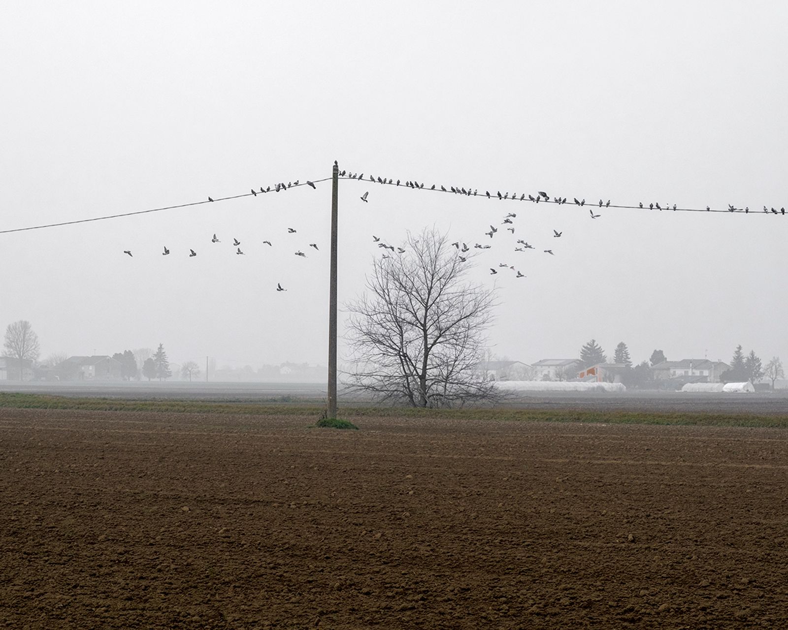 © Paolo Patrizi - Image from the The Po Valley photography project