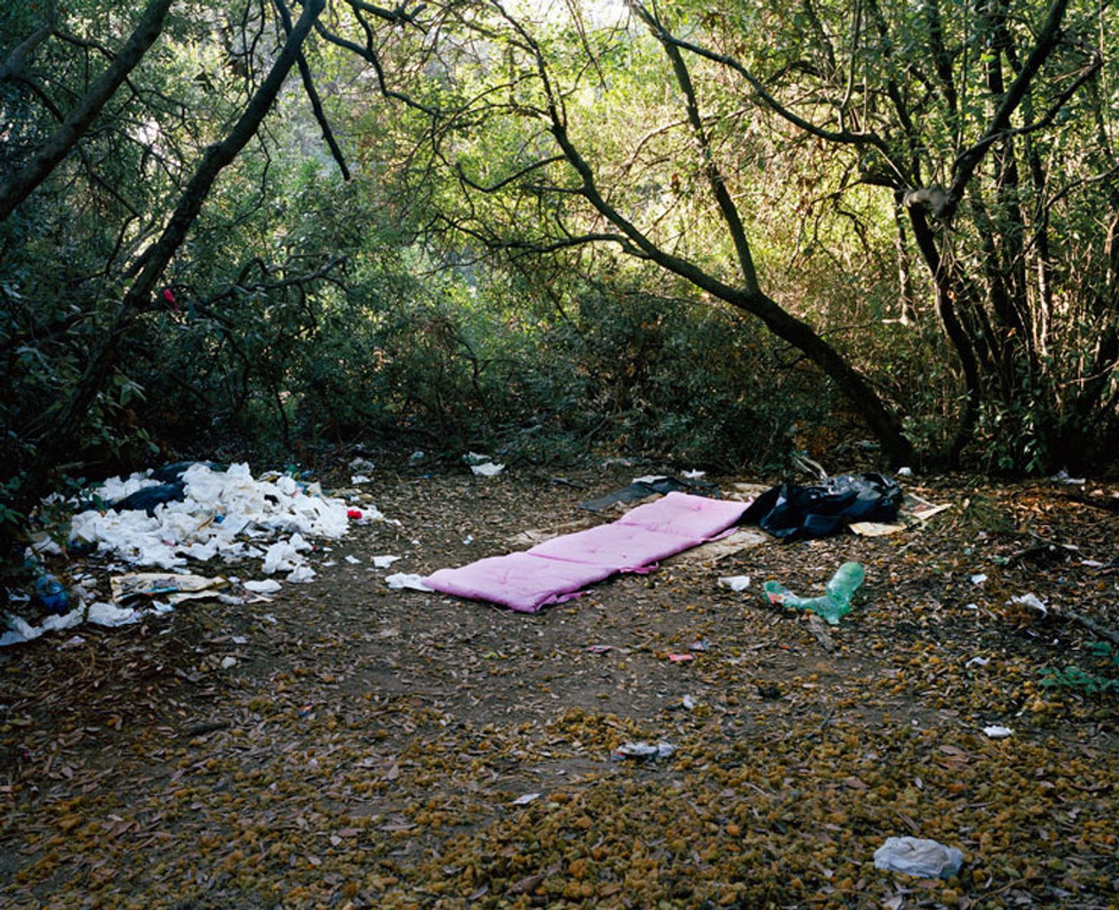 © Paolo Patrizi - A pink mat used by sex workers in a wooded area on the outskirts of Rome