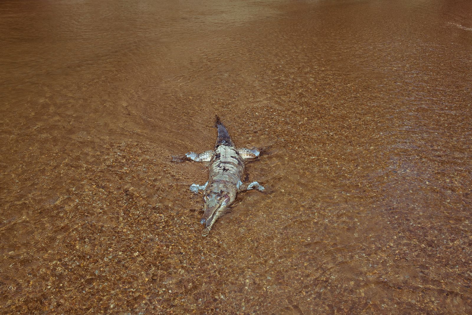 © Isabella Melody Moore - Image from the If the River dies photography project