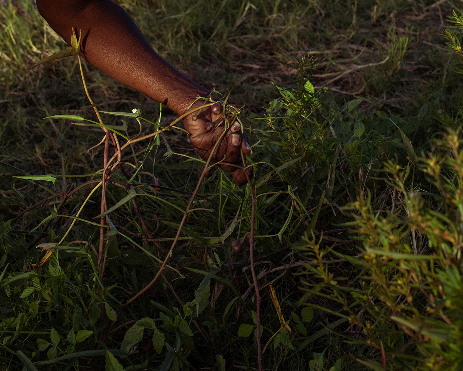 © Isabella Melody Moore - Image from the If the River dies photography project