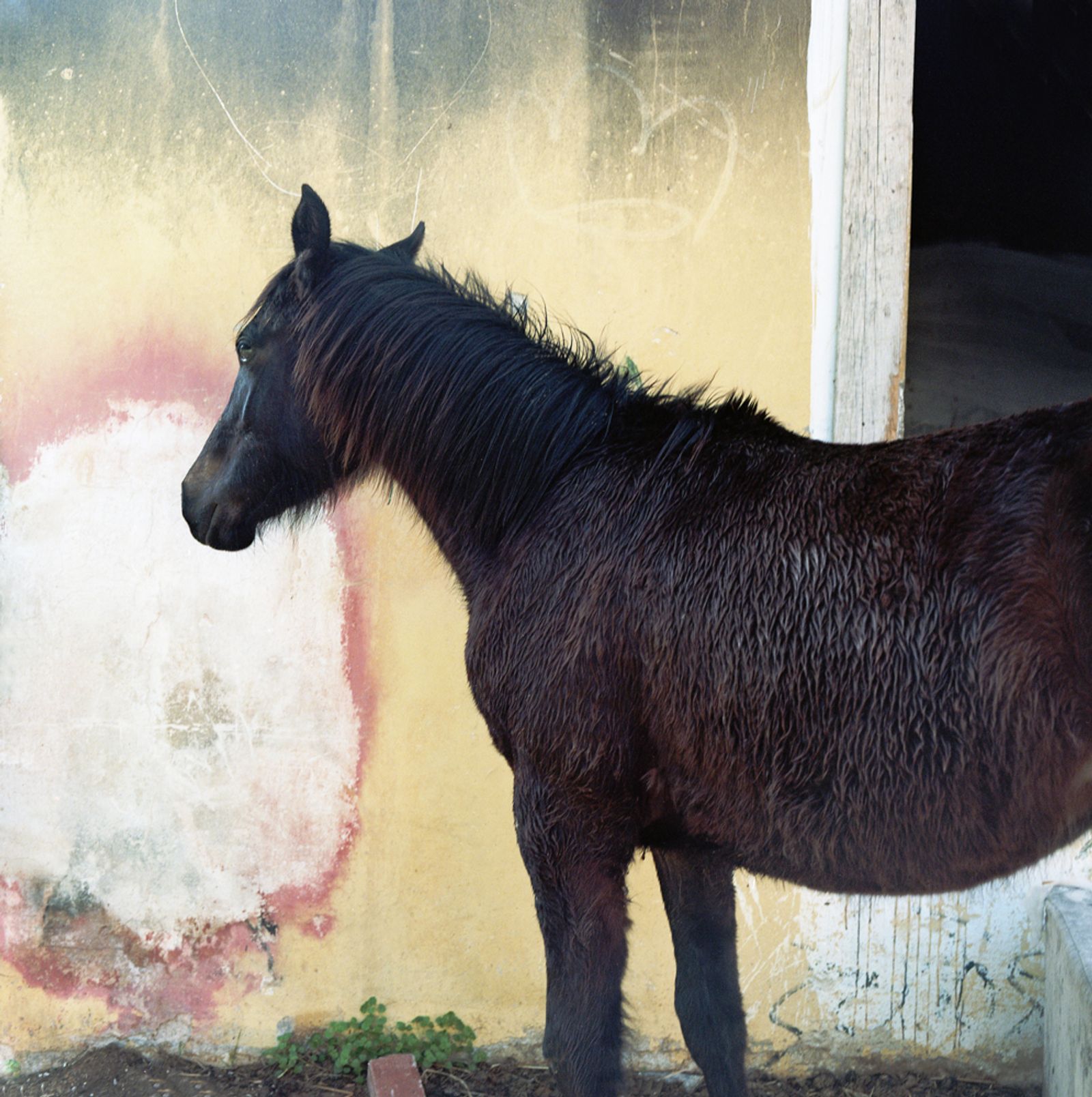 © Ioanna Sakellaraki - Image from the Aidos photography project