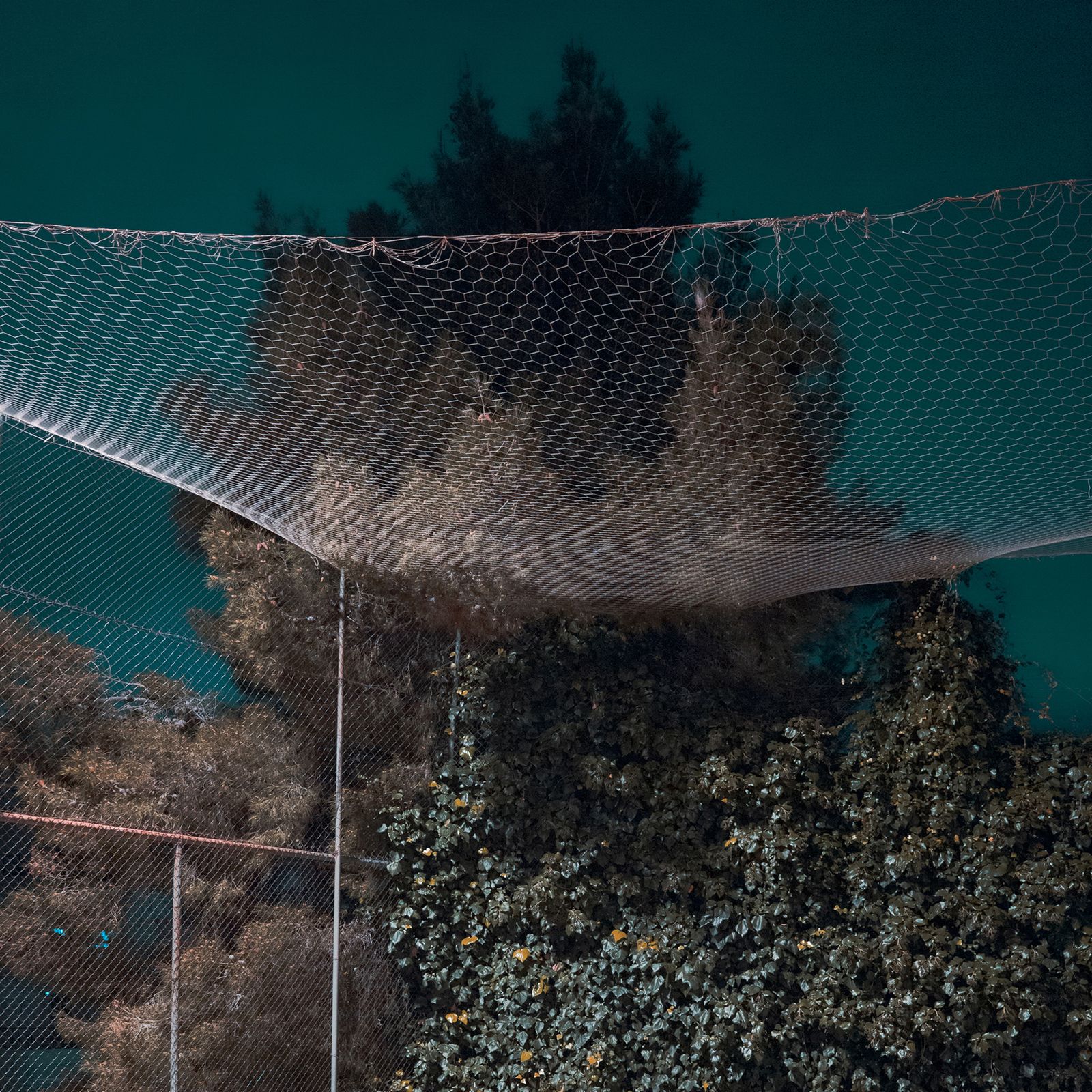 © Ioanna Sakellaraki - Image from the The Truth is in the Soil photography project
