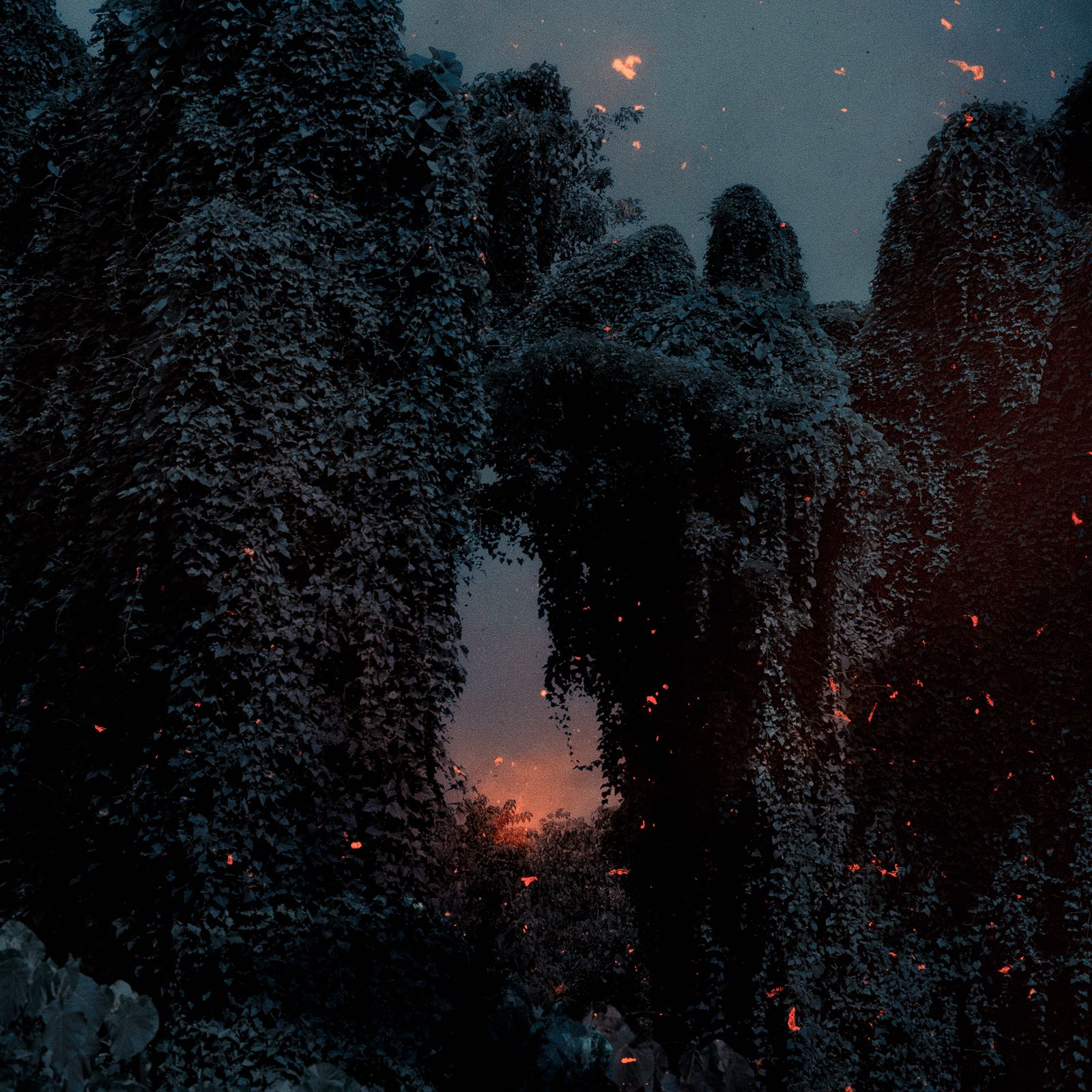 © Ioanna Sakellaraki - Savo island, northern tip of Guadalcanal, Solomon Islands