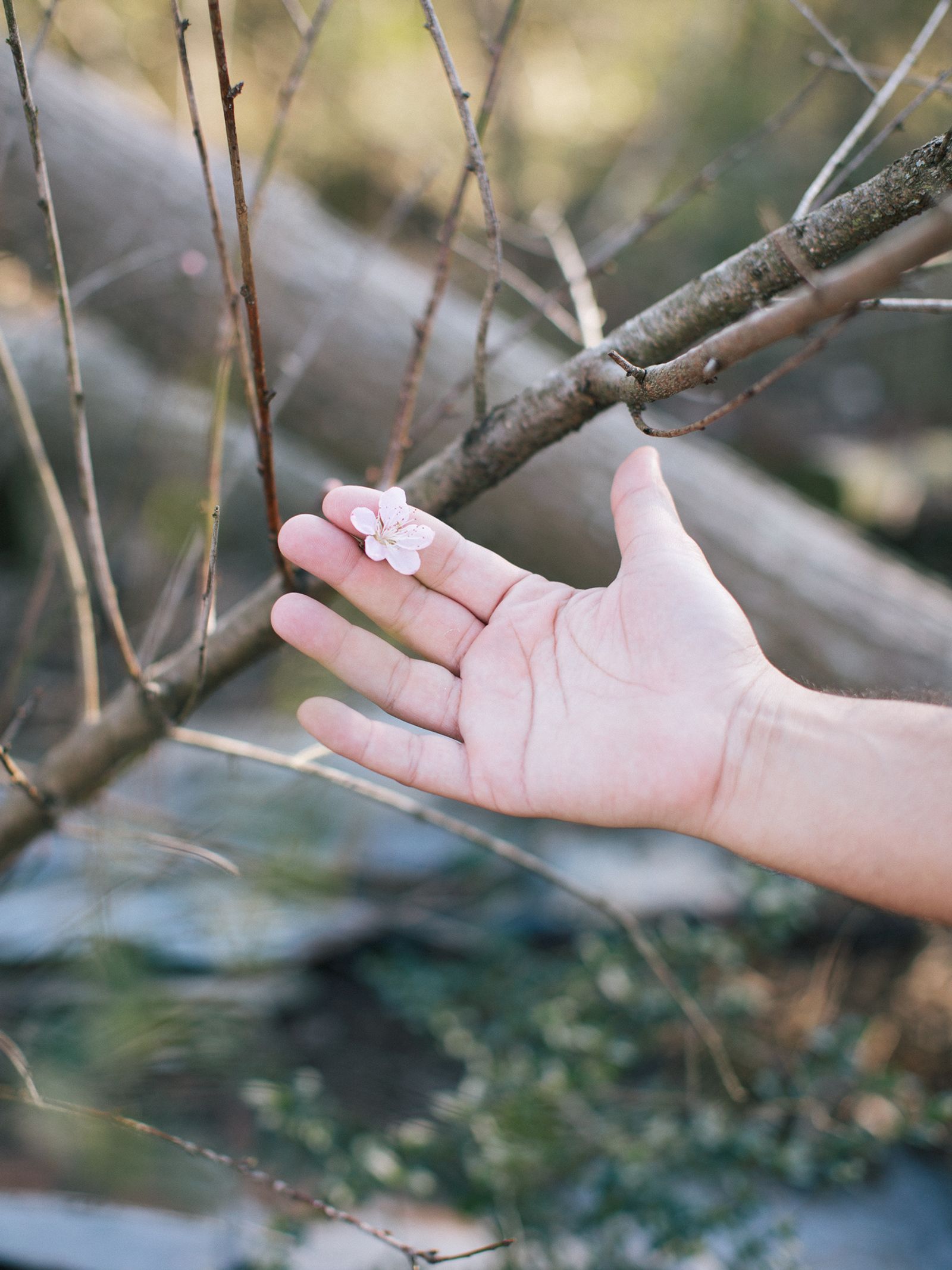 © Maria Sturm - Image from the You Don’t Look Native to Me photography project