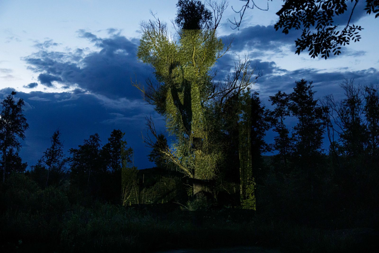 © Katerina Kouzmitcheva - Image from the Locals photography project
