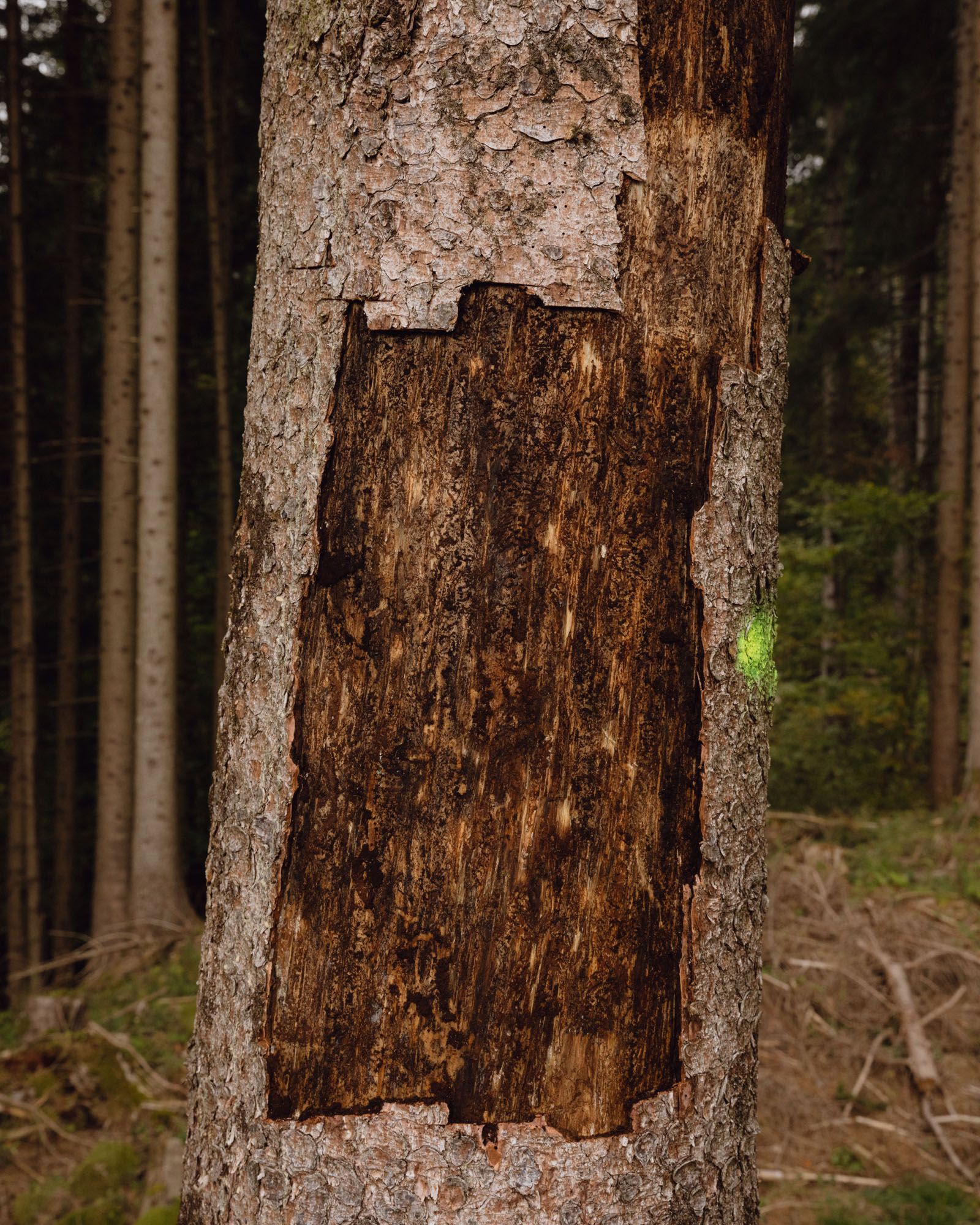 © Matteo De Mayda - Image from the There's No Calm After The Storm photography project