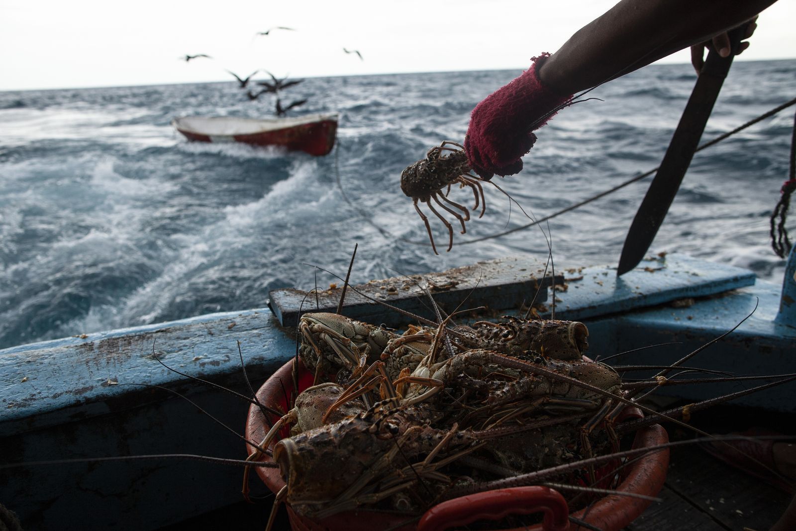 © RODRIGO ABD - Image from the MISKITO DIVERS photography project