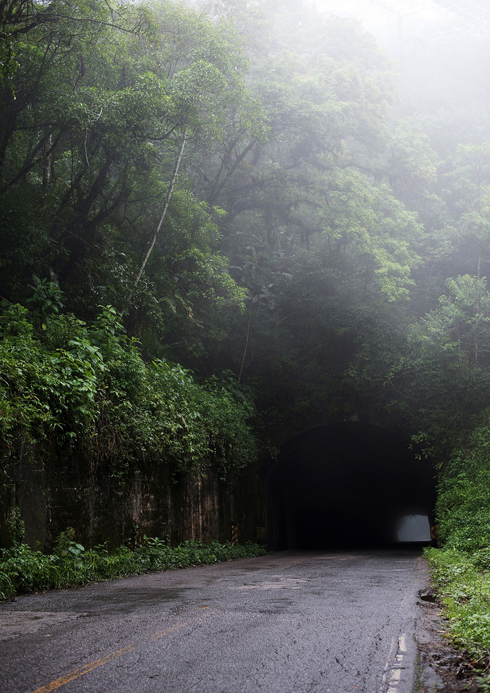© Camila Falcão - Image from the The Man Does Not Exist photography project