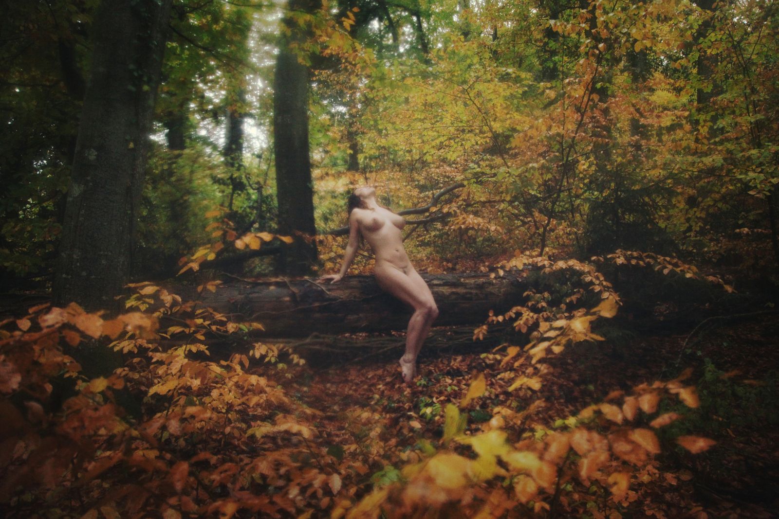 © Natalia Kovachevski - "Autumn Nymph" - Photographer and Model : Natalia Kovachevski