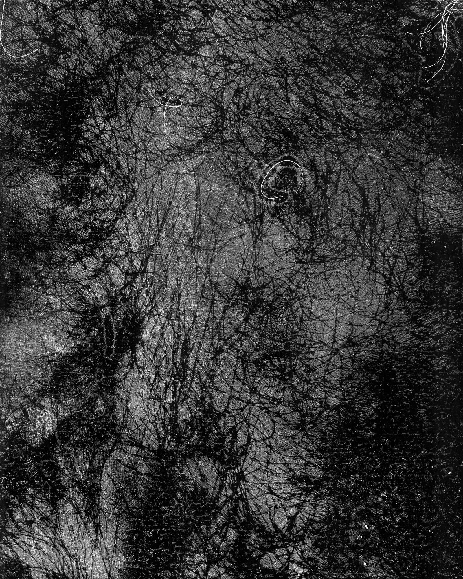 © riel Sturchio and Bianca Sturchio - Image from the skin prints photography project