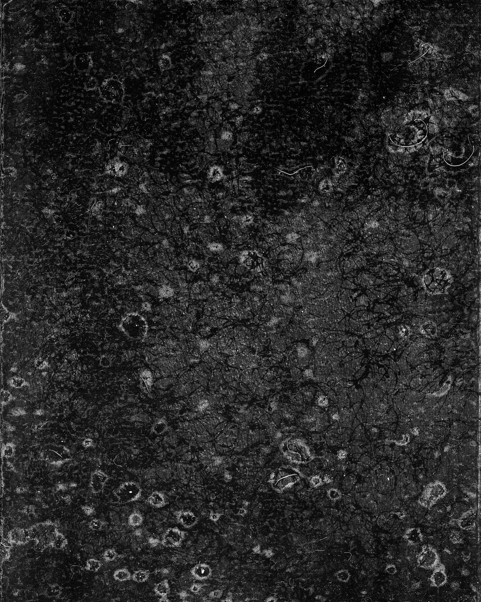 © riel Sturchio and Bianca Sturchio - Image from the skin prints photography project