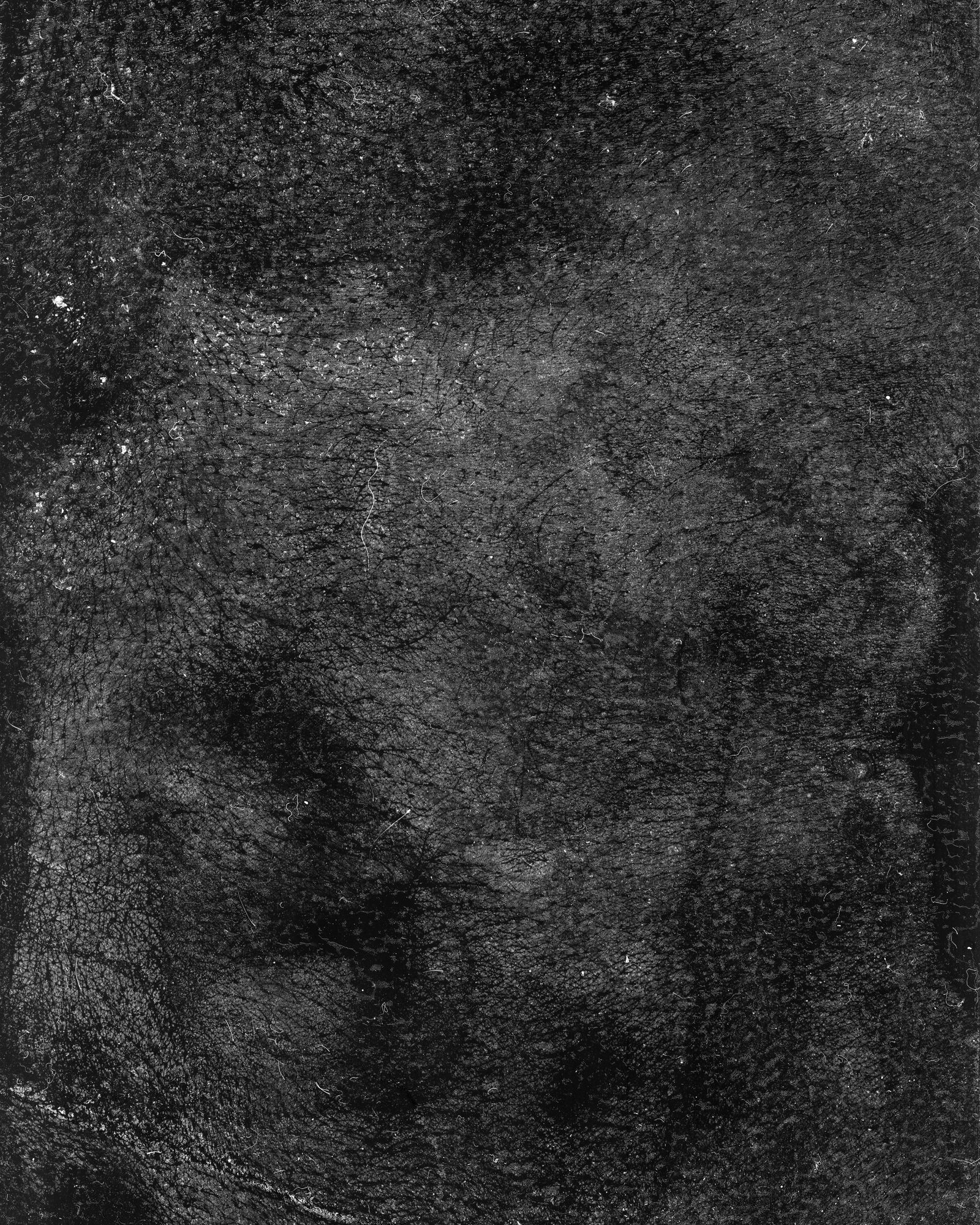 © riel Sturchio and Bianca Sturchio - Image from the skin prints photography project