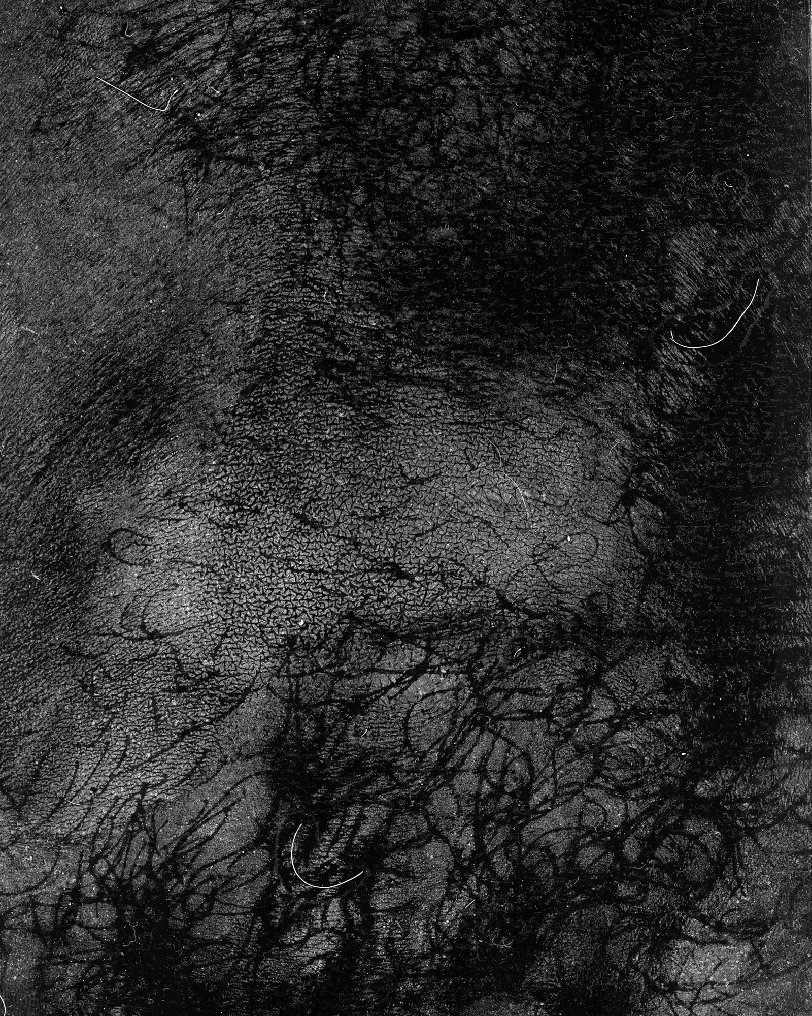 © riel Sturchio and Bianca Sturchio - Image from the skin prints photography project