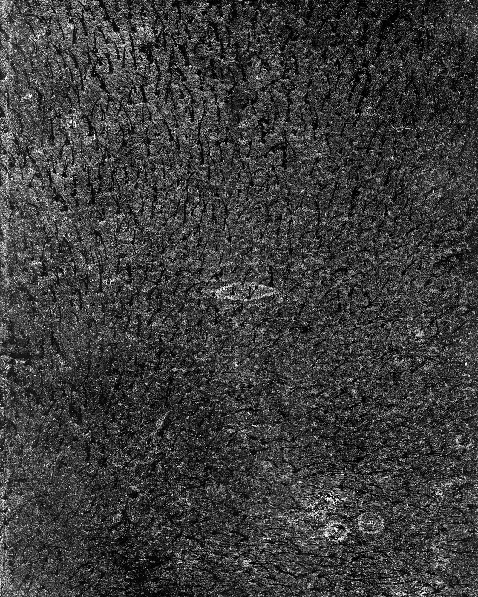 © riel Sturchio and Bianca Sturchio - Image from the skin prints photography project