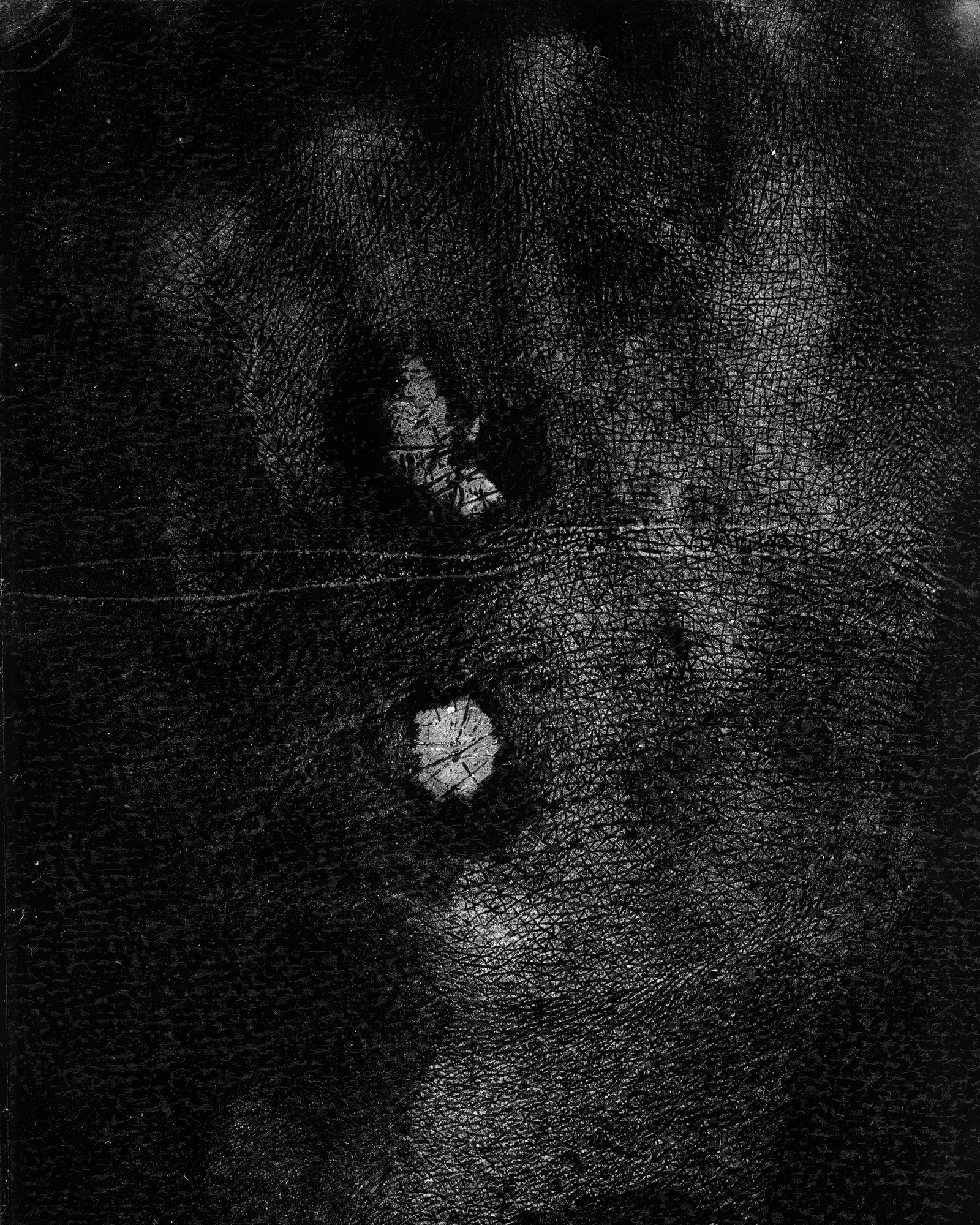 © riel Sturchio and Bianca Sturchio - Image from the skin prints photography project