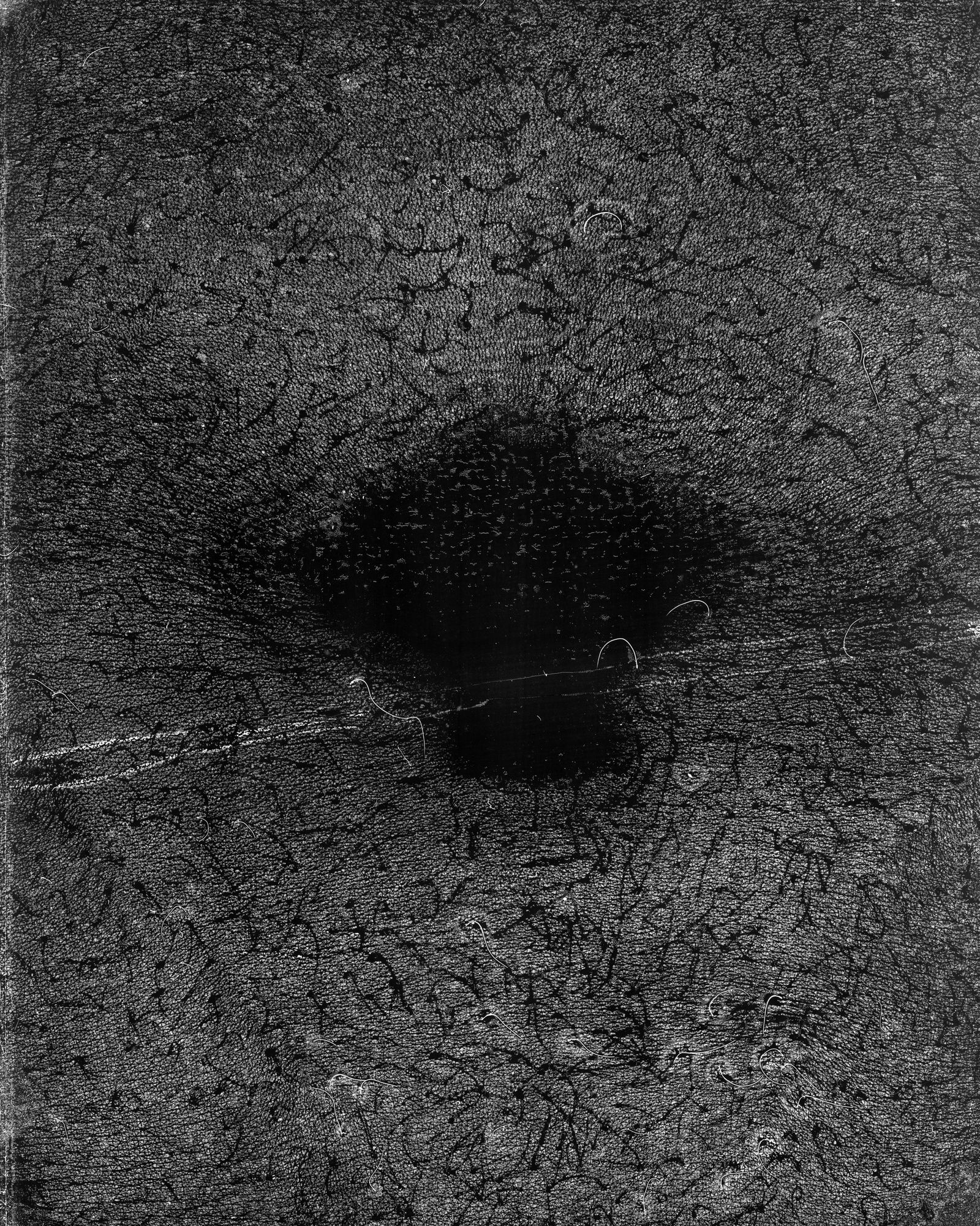 © riel Sturchio and Bianca Sturchio - Image from the skin prints photography project