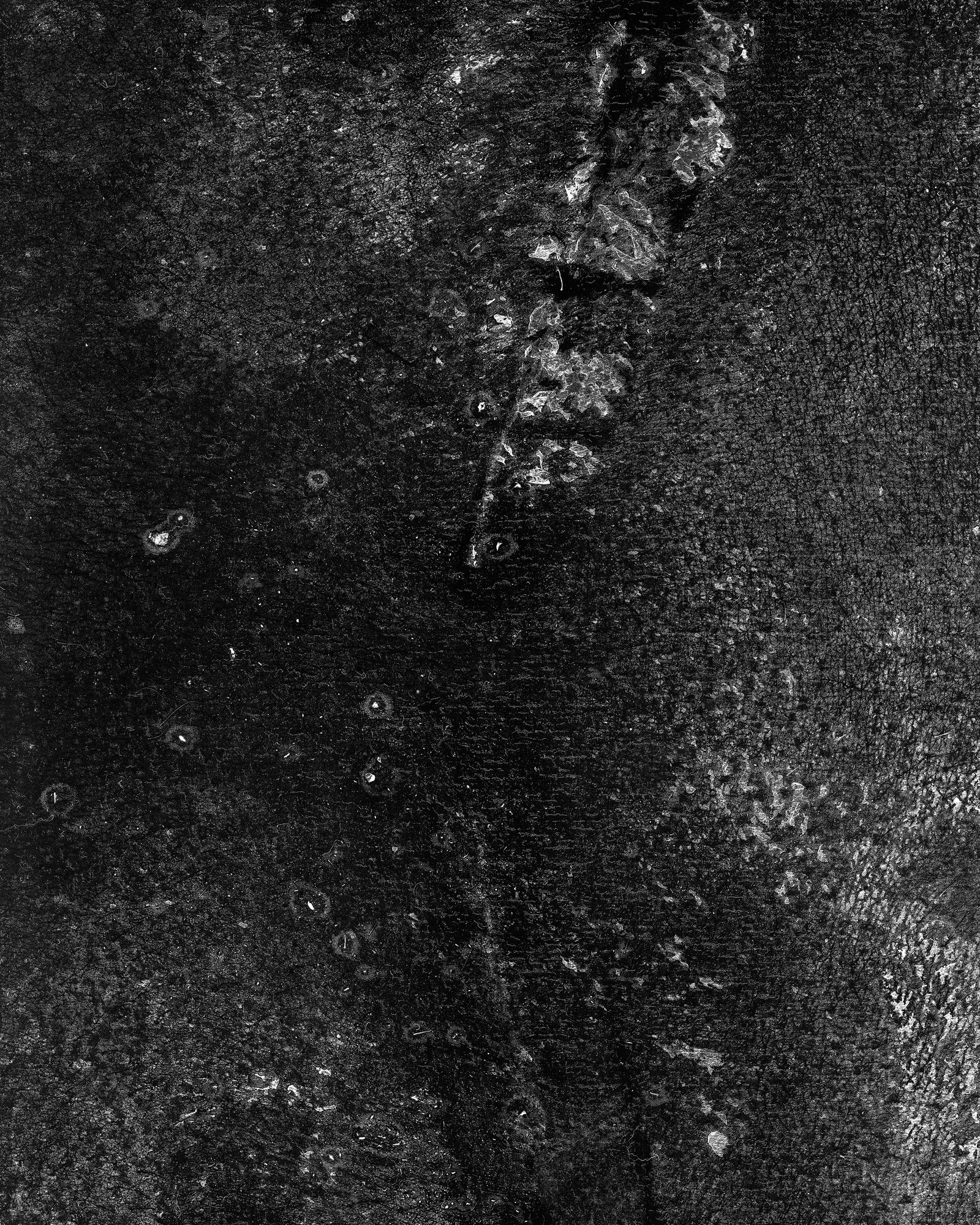 © riel Sturchio and Bianca Sturchio - Image from the skin prints photography project