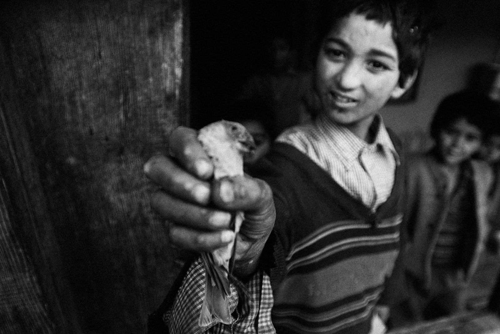© Harikrishna Katragadda - A boy brings down a bird with his catapult.
