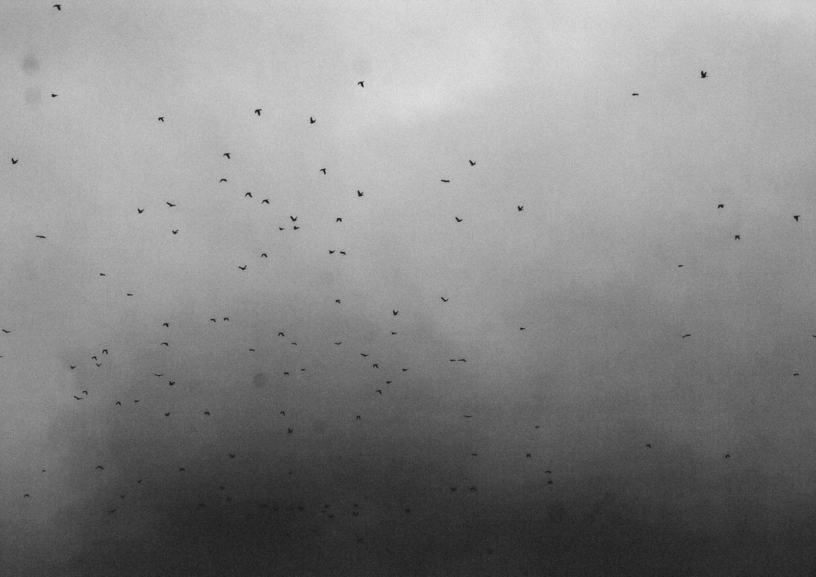 © Angelo Bonetti - Image from the He grew up in the fog photography project
