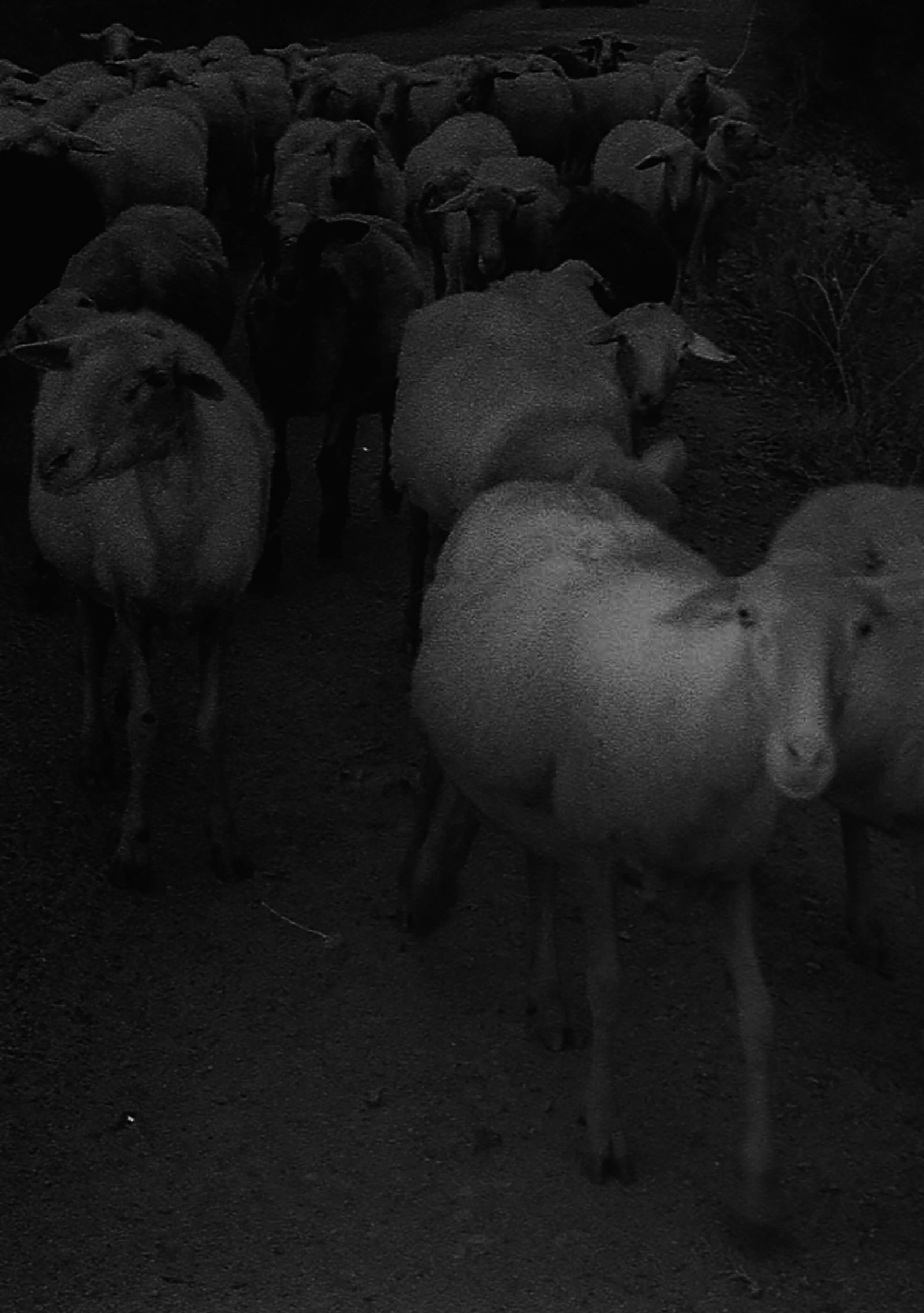 © Angelo Bonetti - Image from the Iremía photography project