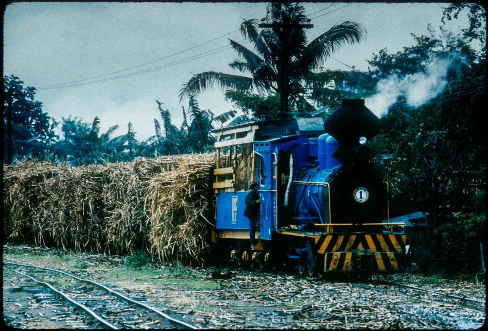 © Hartmut Schwarzbach - Image from the The Steam Trains of Hawaiian Philippine Sugar Company  photography project