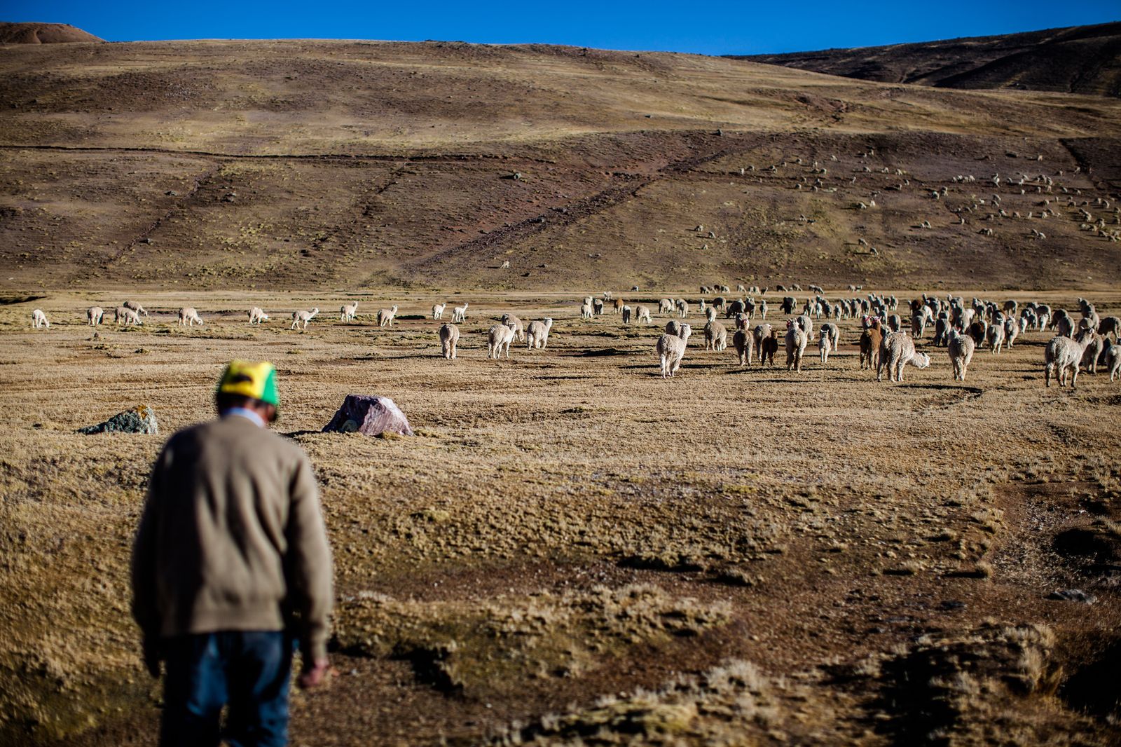 © David Martín Huamaní Bedoya - Image from the Death in the heights photography project