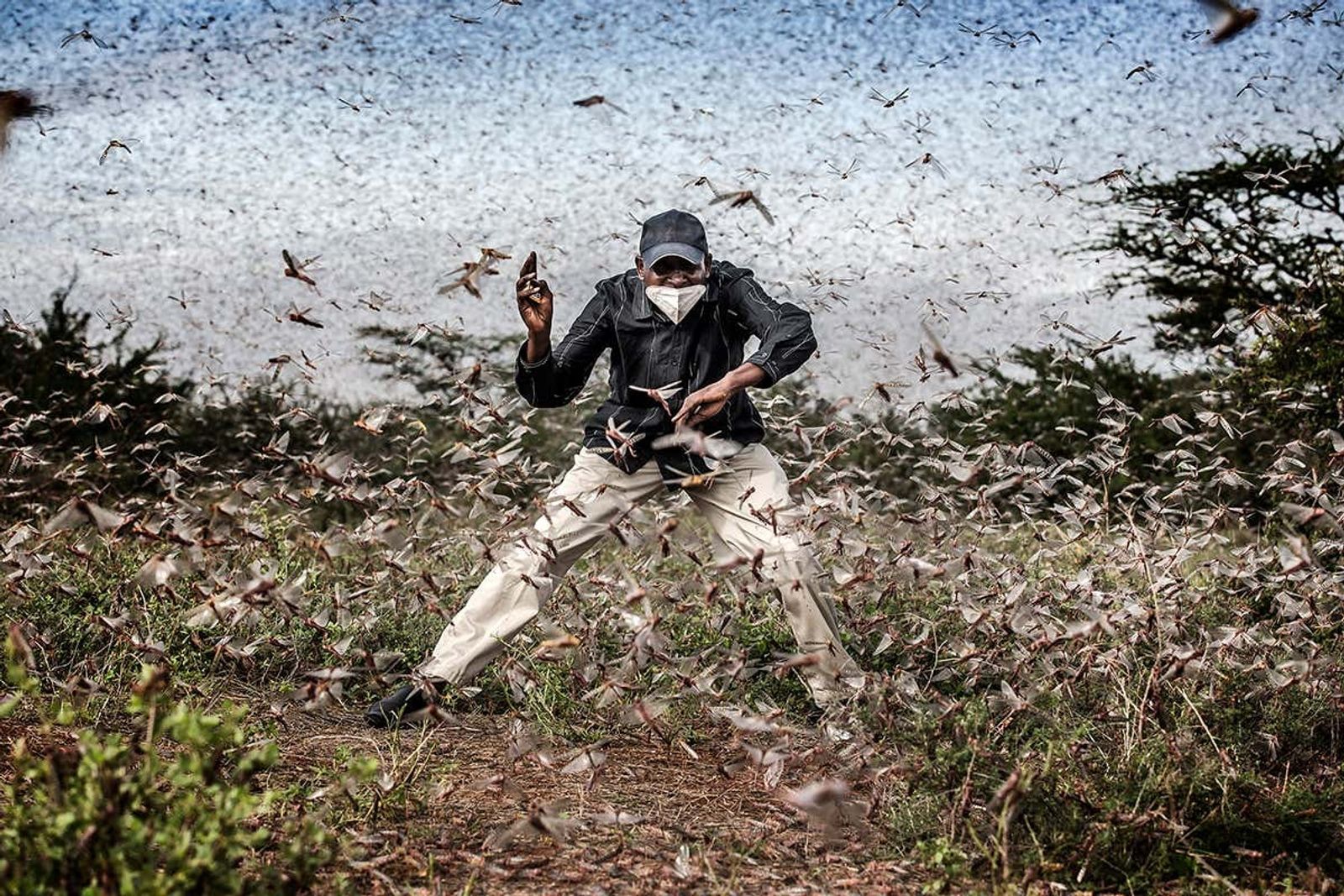 © Luis Tato, from the series Locusts Invasion in East Africa. 2021 exhibitor.