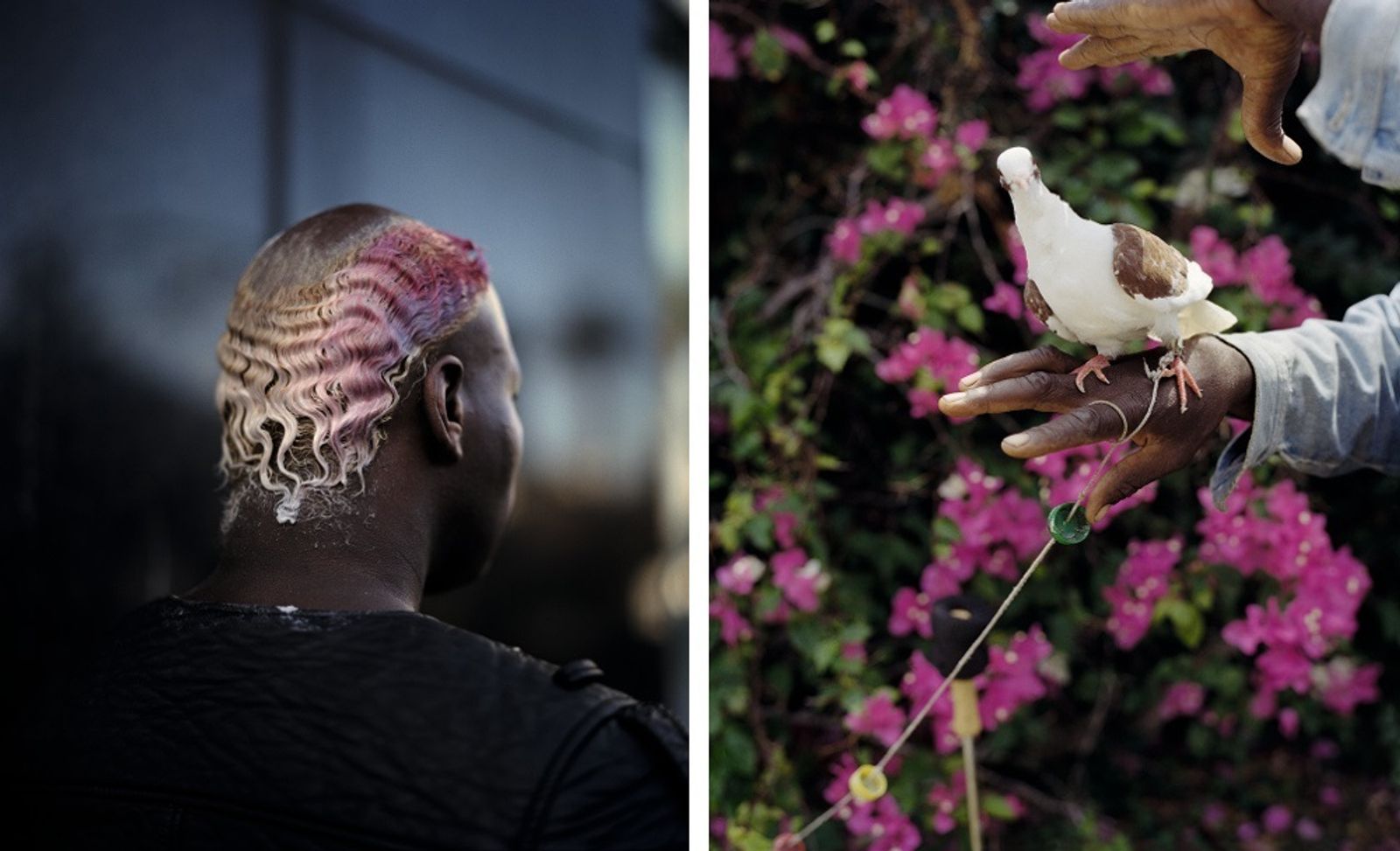 © Gregory Halpern, from the book ZZYZX (Winner of the 2016 PhotoBook of the Year Prize)