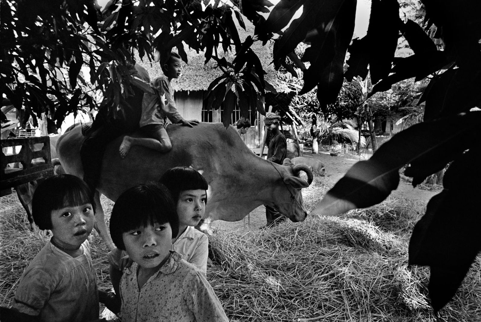 © Philip Jones Griffiths. South Vietnam