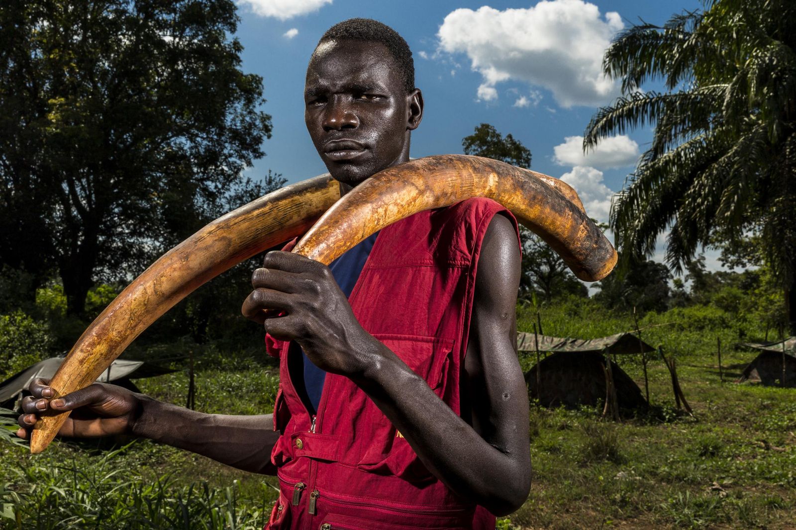 © Brent Stirton, from the series Ivory Wars