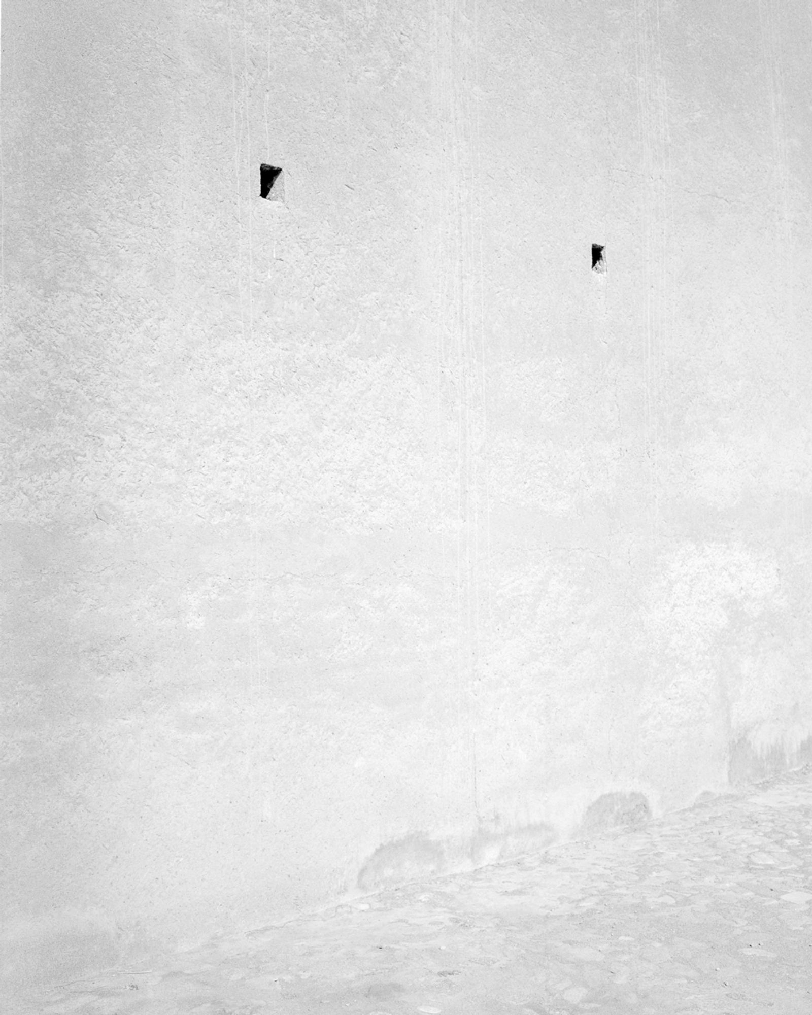 © Sybren Vanoverberghe - Image from the Birds No Longer Sing photography project