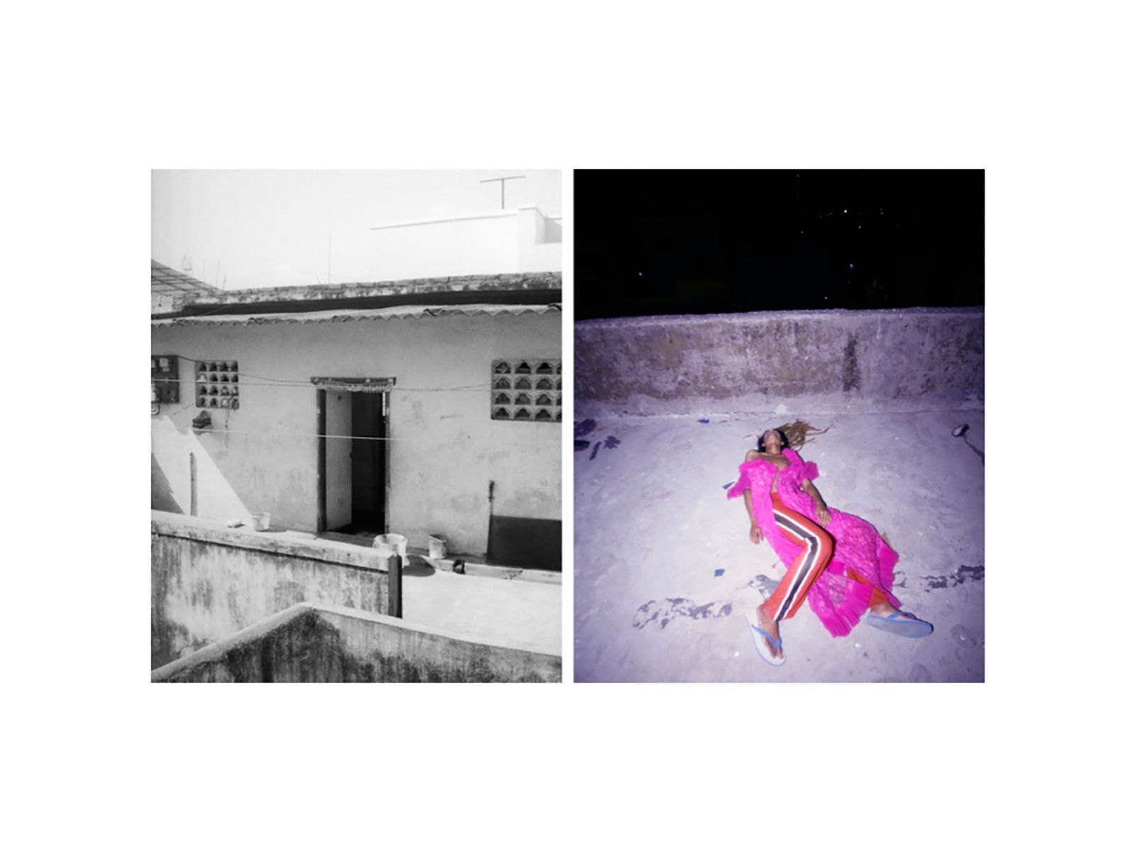 © Pretika Menon - Image from the Pakṣi (Bird) photography project