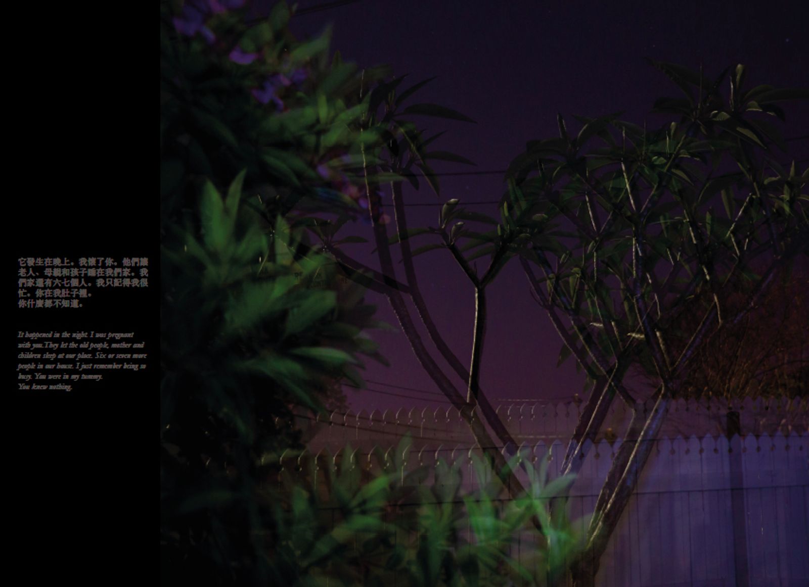 © Tammy Law - Image from the Cancelled & Removed photography project