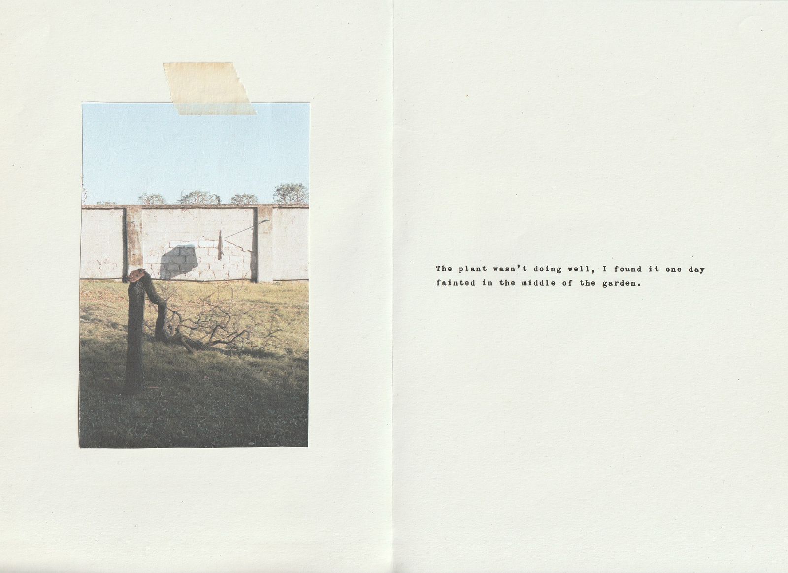 © Elsa Pizzutto - Image from the I avoid seeing the light fade photography project