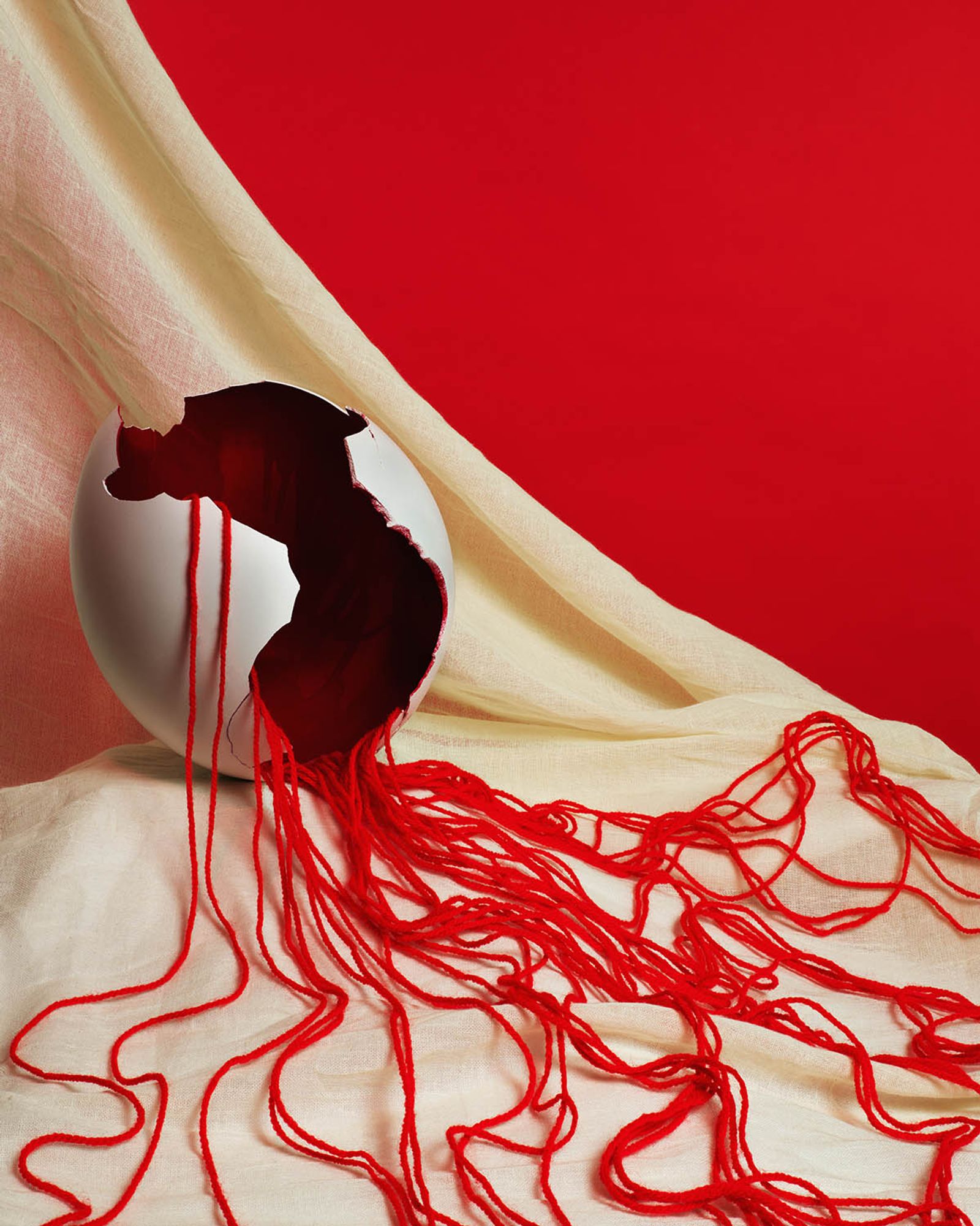 © Emanuele Moi - Image from the Wunderkammer photography project