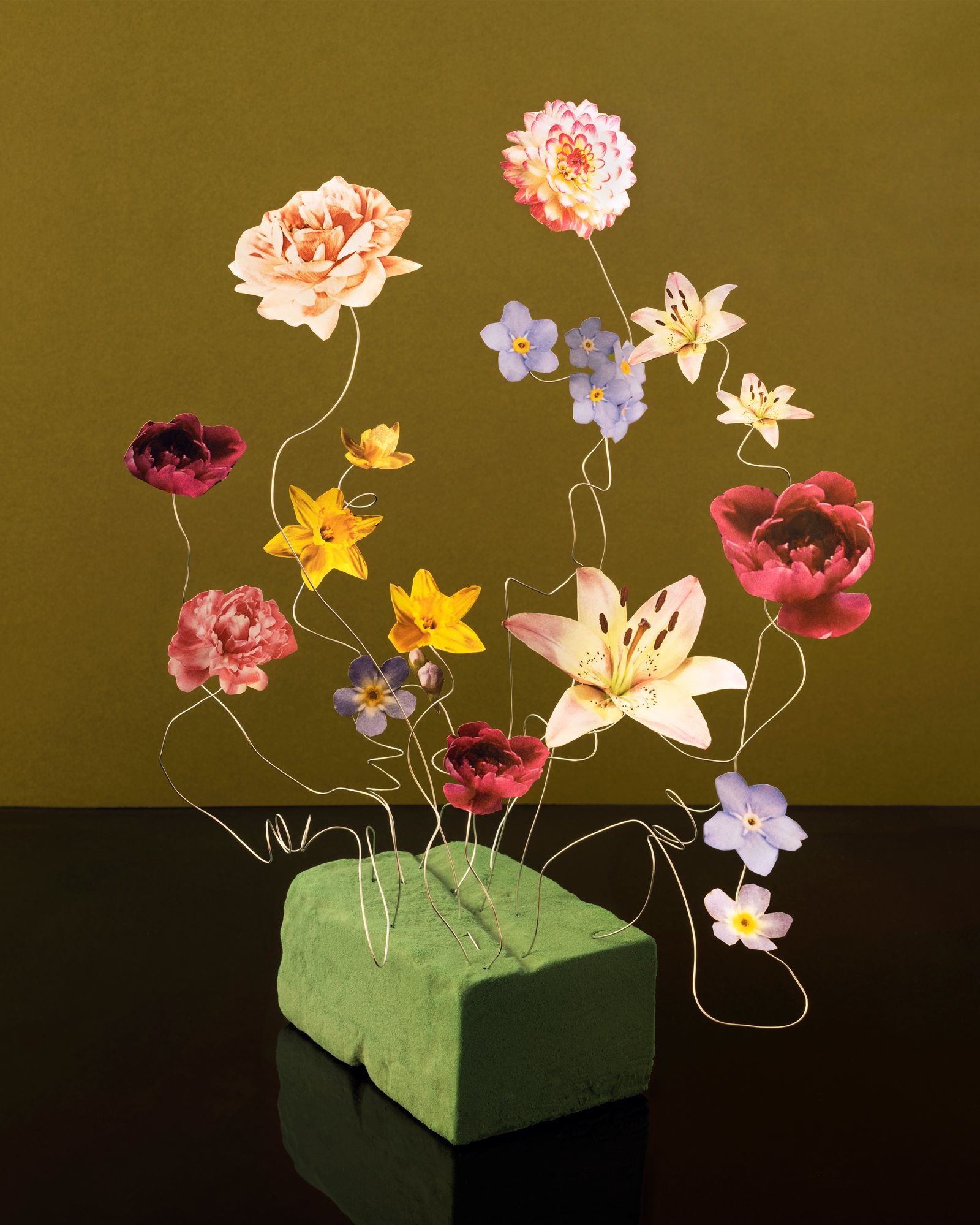 © Emanuele Moi - Image from the Wunderkammer photography project