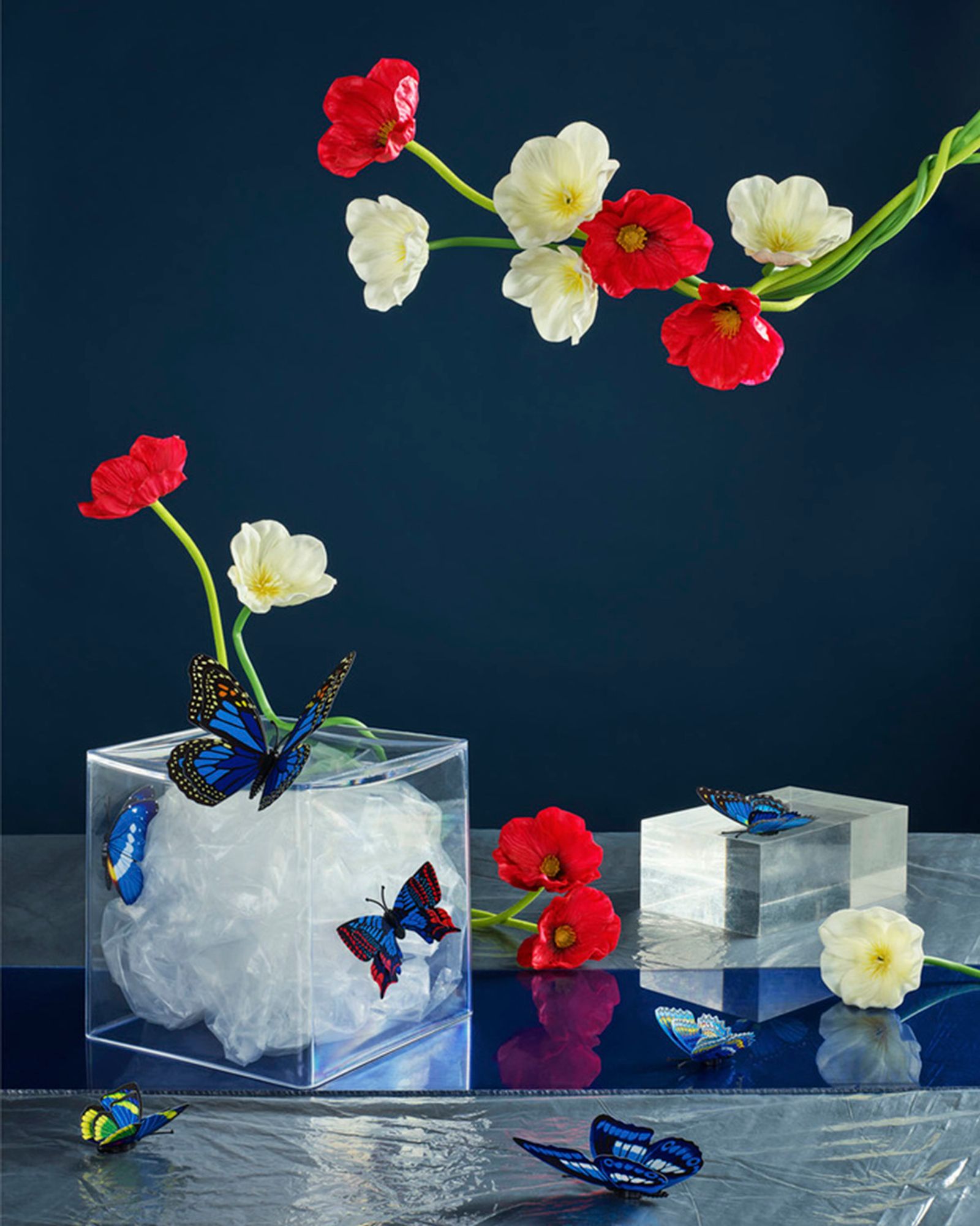 © Emanuele Moi - Image from the Wunderkammer photography project