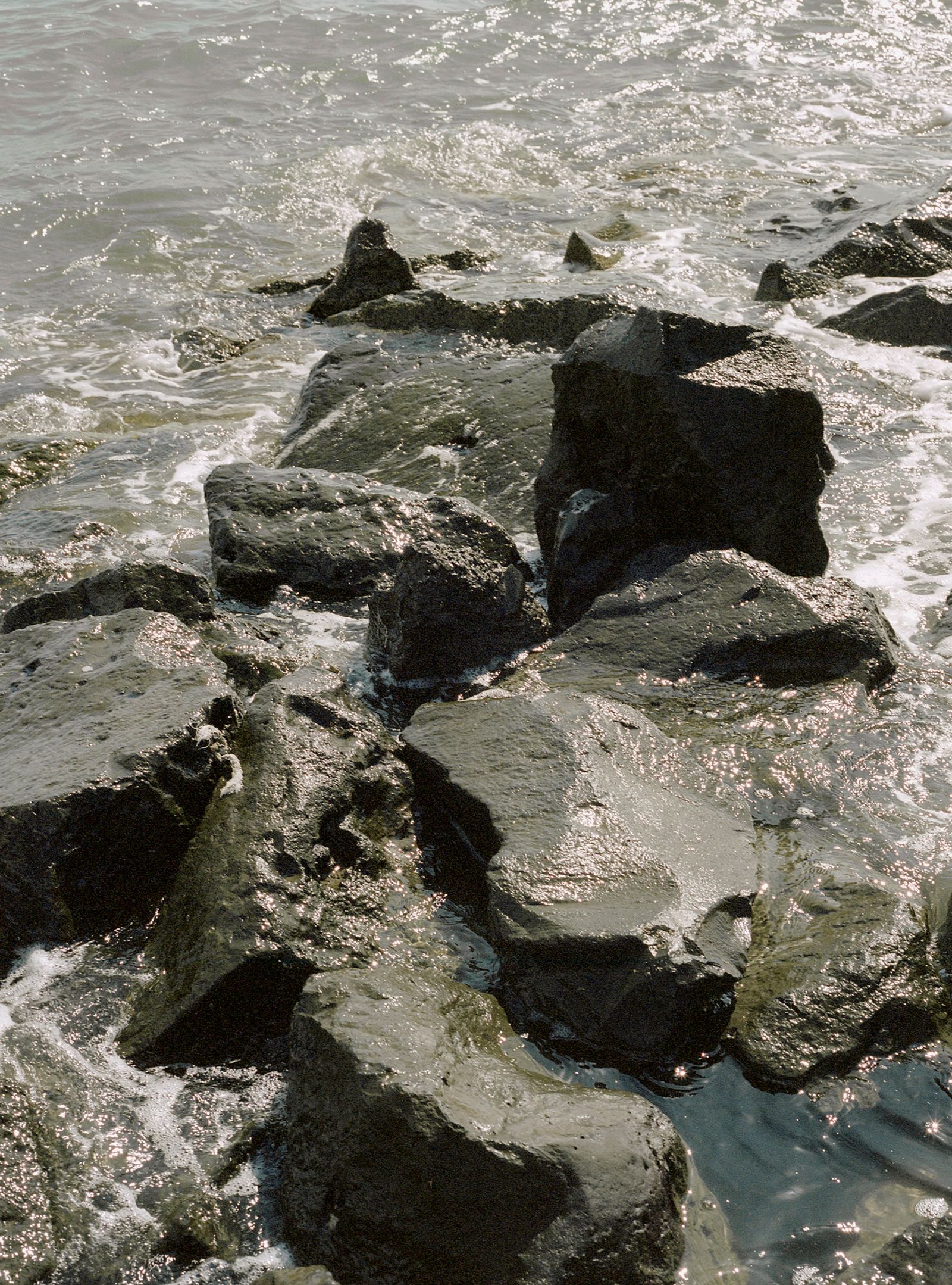 © Emanuele Moi - The sea and the woods were the places I escaped to as a kid