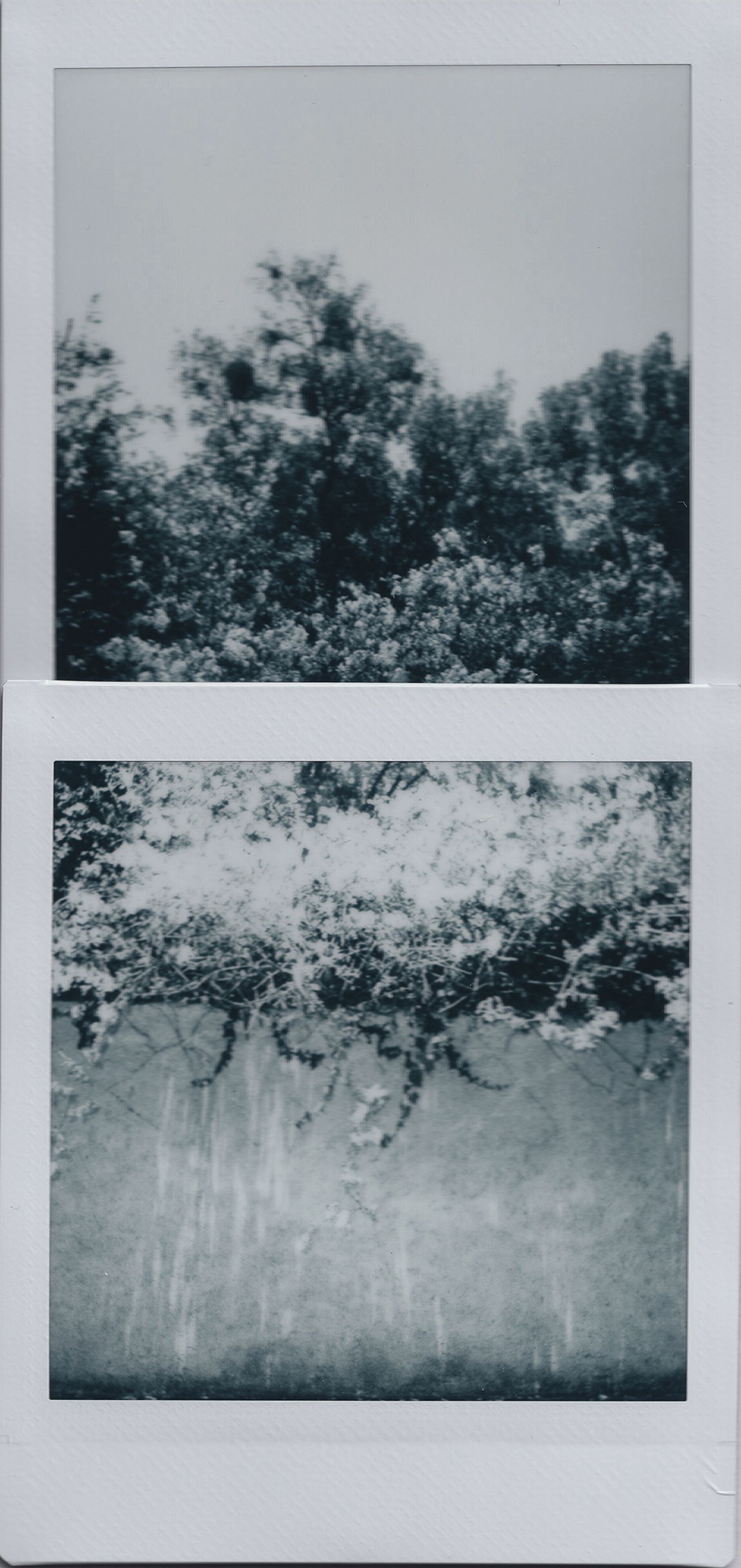 © Karla Guerrero - Image from the Blanco Universo photography project