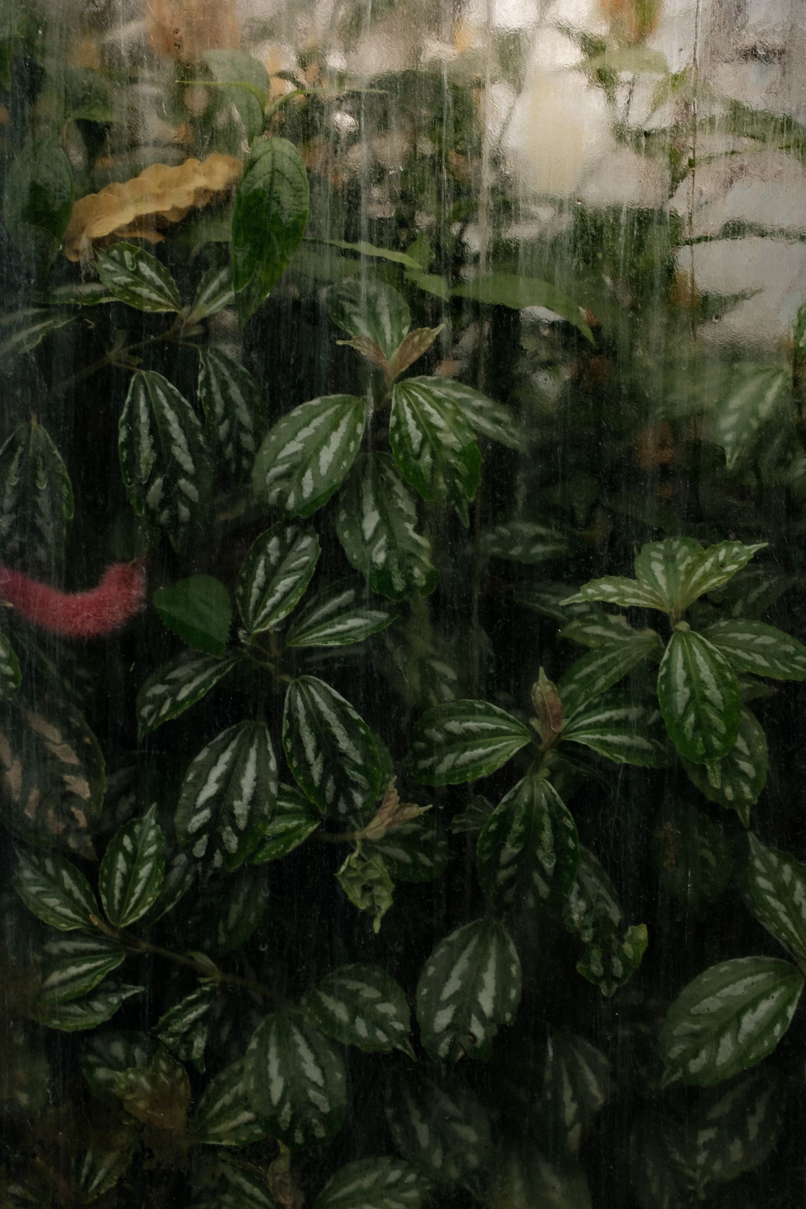 © Elisa Troschke - London, 2023