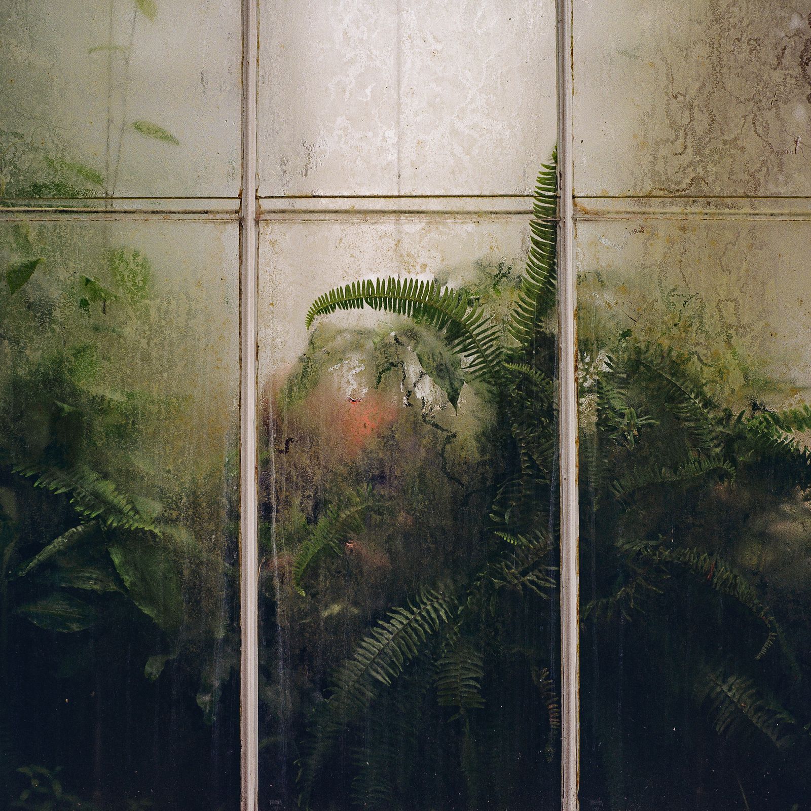 © Elisa Troschke - London, 2024 (Kew Gardens Series)