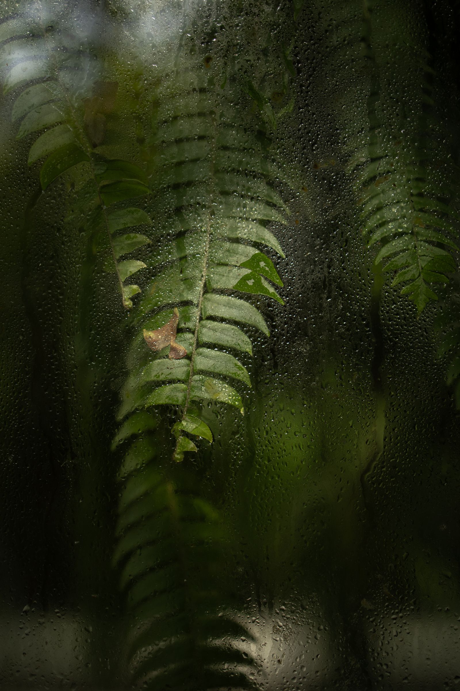© Elisa Troschke - Amsterdam, 2020