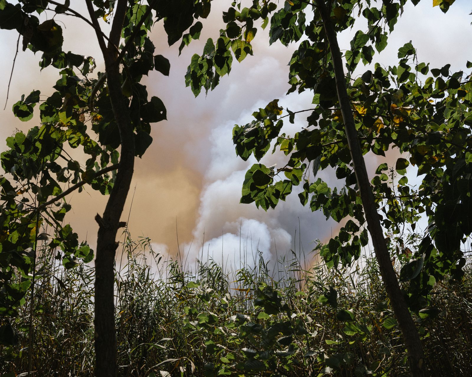 © Khashayar Javanmardi - Image from the Caspian photography project