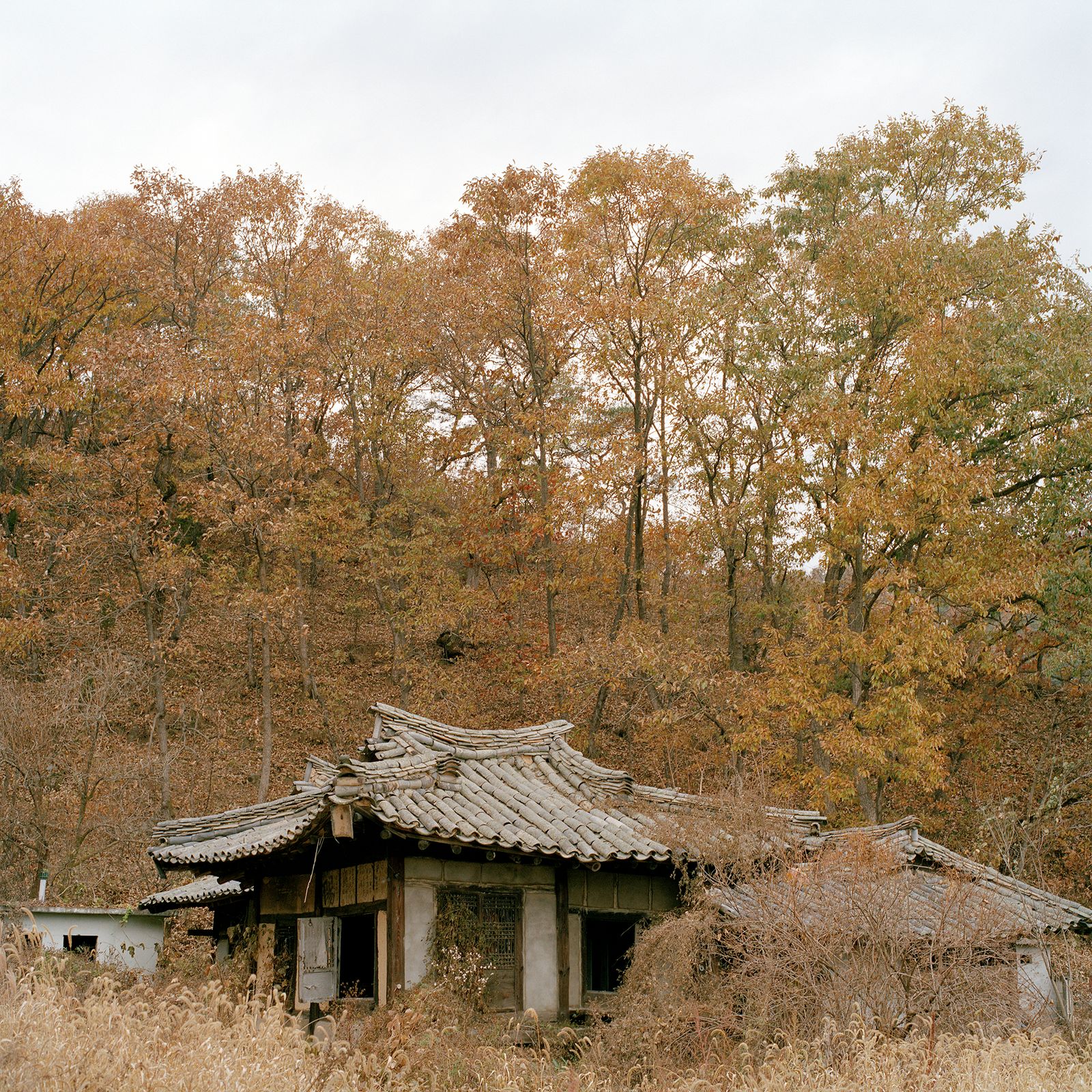 © Lee Grant - Abandoned hanok home in Gangwon-do province which borders North Korea