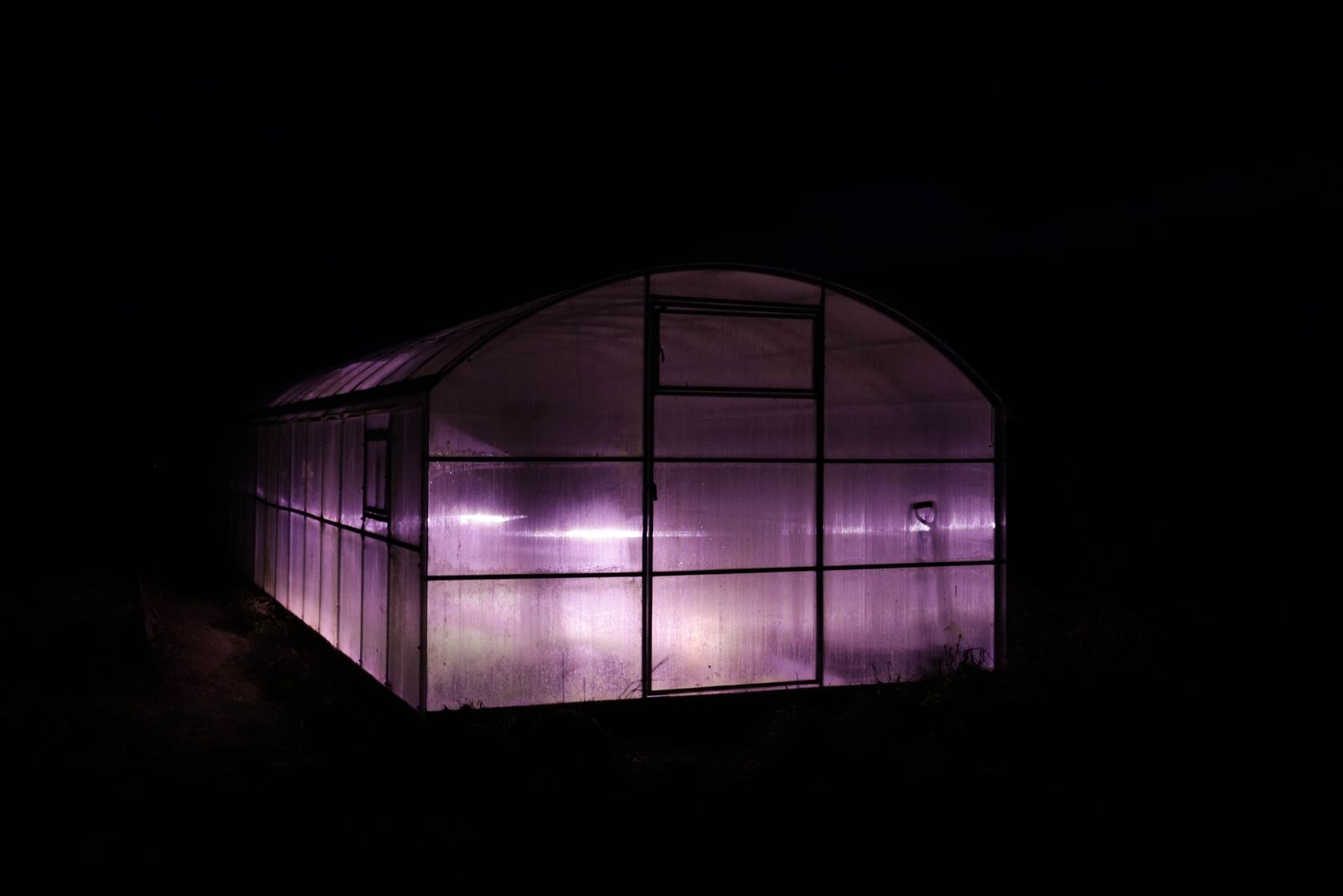 © Mary Gelman - The greenhouse with plants at night in the village