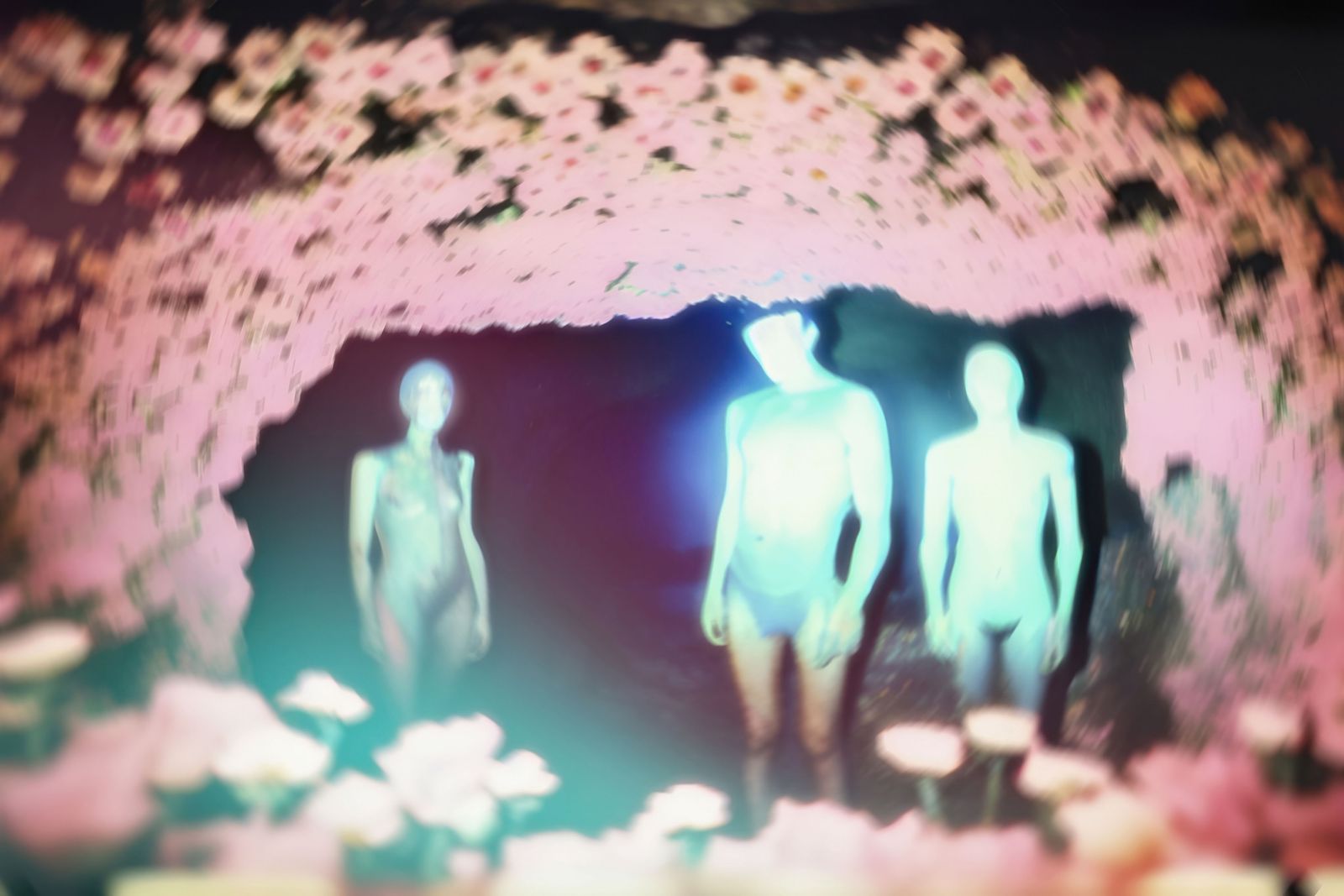 © Claudia Fuggetti - Image from the Metamorphosis photography project