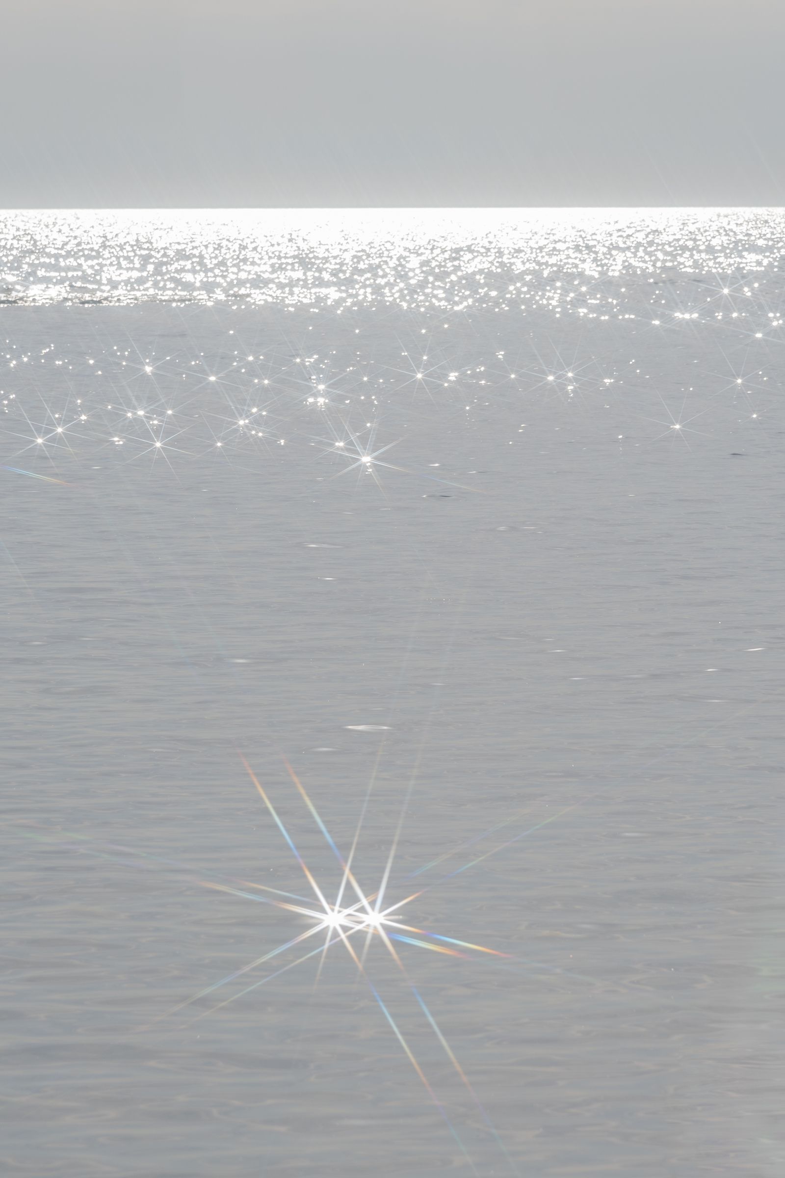 © Claudia Fuggetti - Image from the Metamorphosis photography project