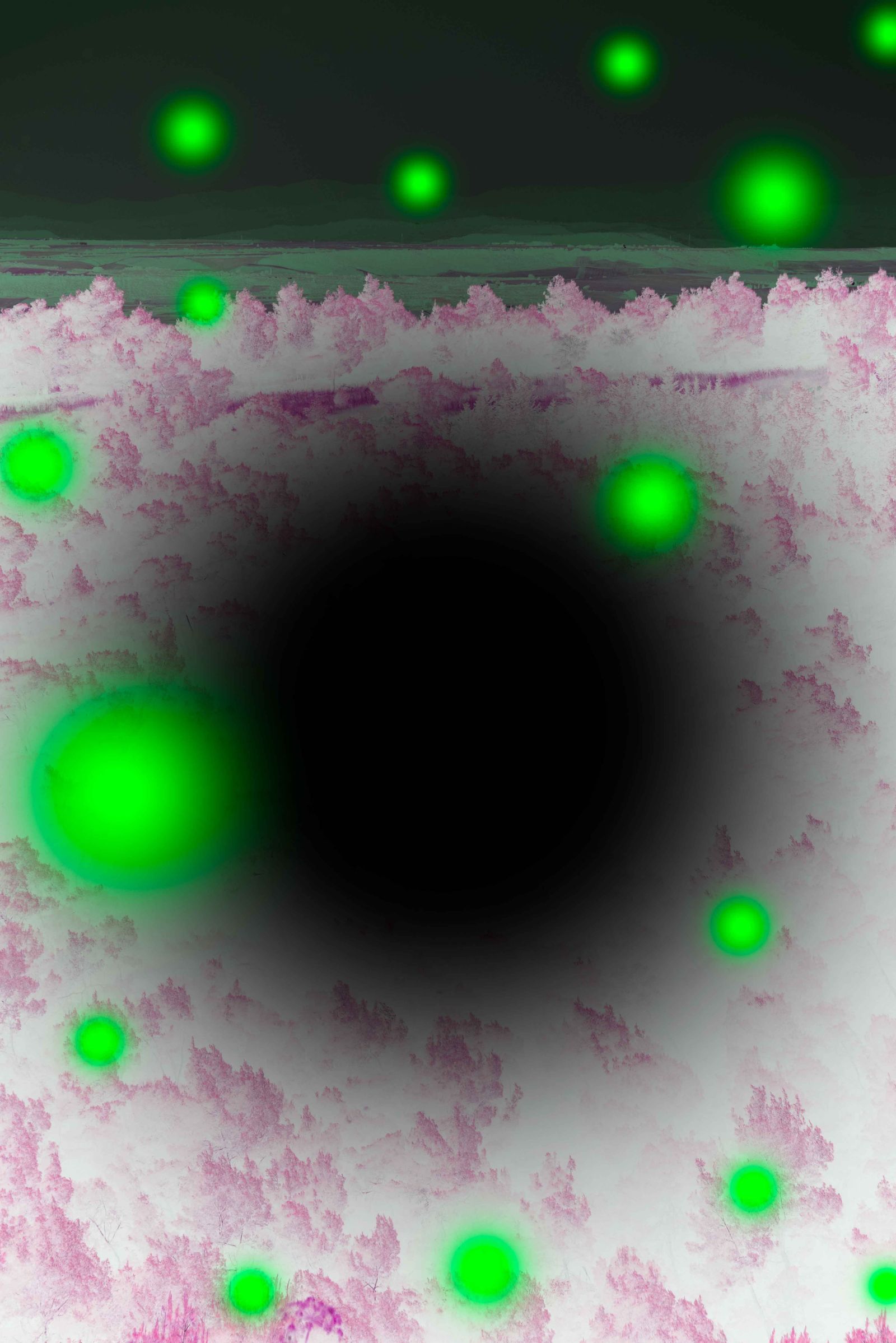 © Claudia Fuggetti - Image from the Metamorphosis photography project