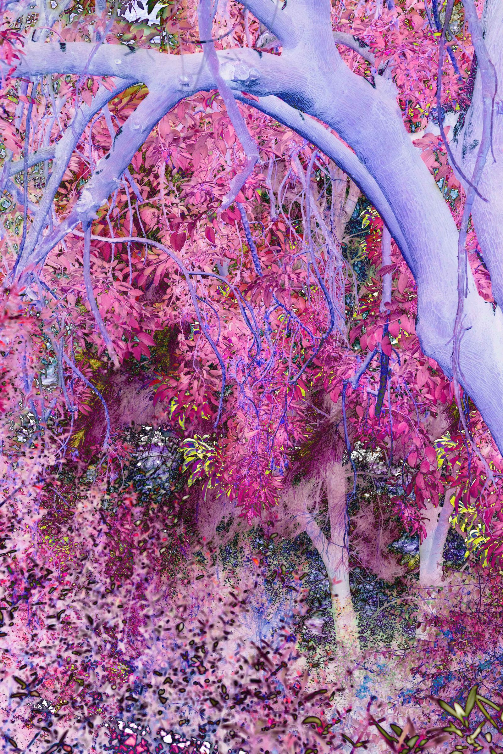 © Claudia Fuggetti - Image from the Metamorphosis photography project