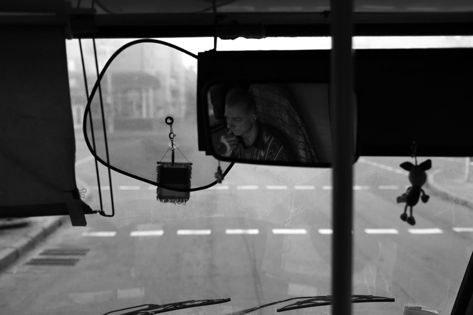 © Dina Oganova - Bus driver in the mirror and Pitachok